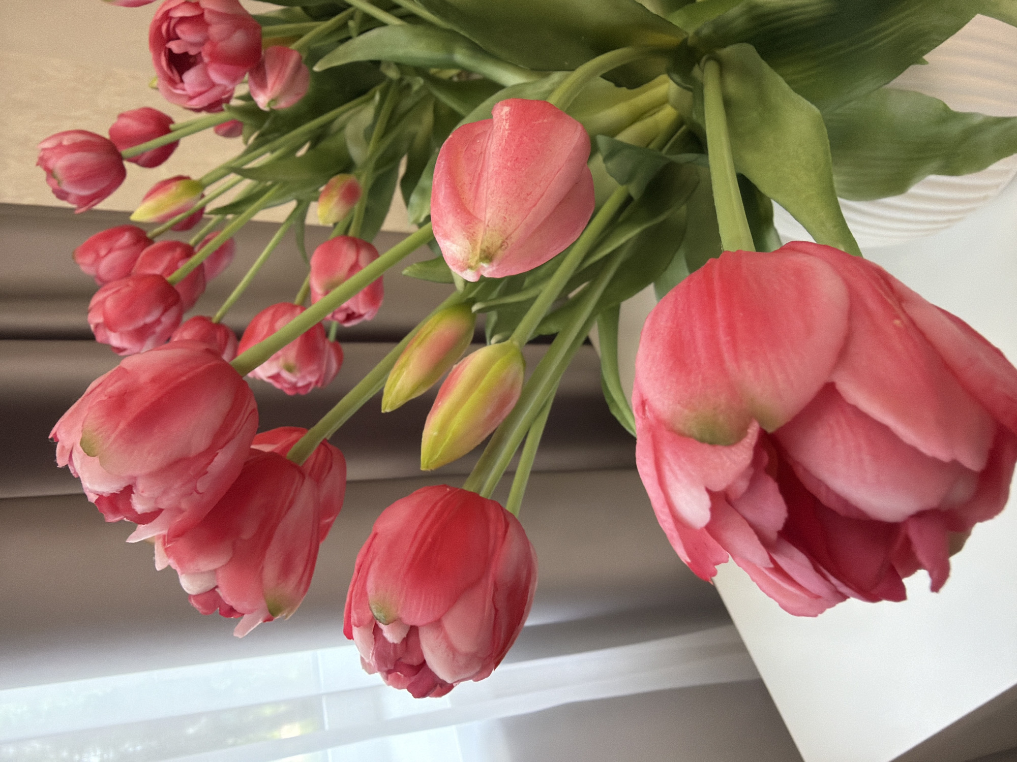 The image shows a close-up, low-angle view of a bouquet of pink tulips. The tulips are predominantly in bloom, with some buds still closed or partially open. Their petals are a vibrant pink, with some lighter pink or white accents towards the tips. The stems and leaves are a bright green. The flowers are arranged in a bunch, with some flowers hanging upside down and others oriented upwards. The background is blurred, but appears to be an indoor setting with a neutral-colored curtain or blinds on the left and a white, textured surface on the right, possibly a vase or wall. The lighting suggests it could be daytime, possibly near a window, given the soft illumination and subtle shadows. There is no visible text in the image. The overall impression is one of natural beauty and a sense of freshness.