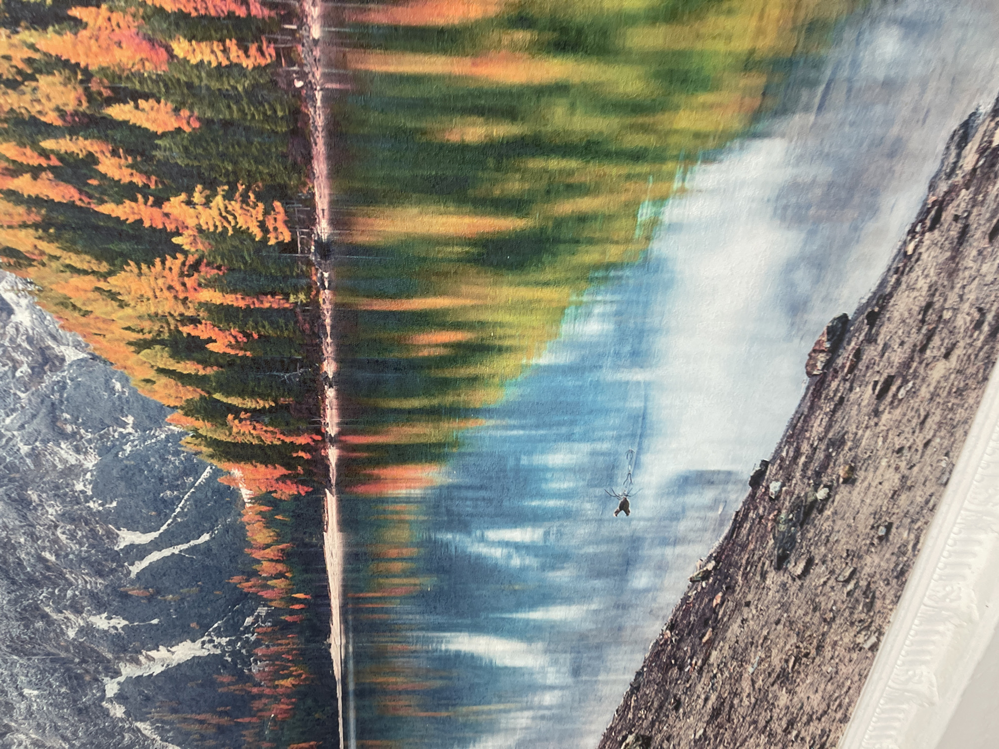 This media file displays a close-up view of a decorative tapestry or mural, depicting a scenic mountain landscape reflected in a body of water. The scene is characterized by the vibrant colors of autumn foliage, with trees displaying shades of orange, yellow, and green along the water's edge. Majestic mountains, partially covered in snow, rise in the background on the left side of the image. A rocky, textured surface dominates the right side, suggesting a foreground element or a different section of the landscape.
The reflection in the water is blurred, creating an impressionistic effect that blends the colors of the sky, trees, and mountains. A small, dark object that appears to be a spider with its web is suspended in the air over the water in the middle of the frame, a minute detail against the vastness of the landscape. The overall impression is one of natural beauty and tranquility, with a focus on the interplay of light, color, and texture. No text is visible in the image. The context of Bishkek City, Kyrgyzstan, suggests this could be a piece of local art or decor inspired by the natural beauty of the region.