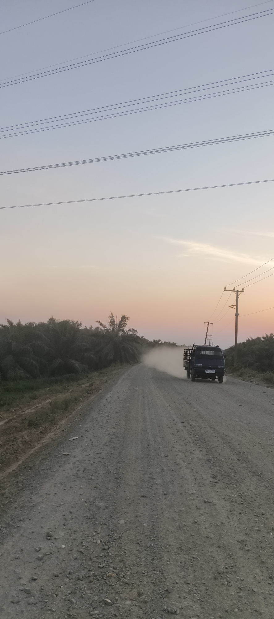A dark blue pickup truck kicks up a plume of dust as it drives down a gravel road. The truck is moving away from the camera, towards the right side of the frame. Palm trees line the left side of the road, and the sky is a gradient of pale blue and orange, indicating sunset or sunrise. Electrical wires and poles are visible in the distance. The image appears to be taken in Danau Lamo, Indonesia.