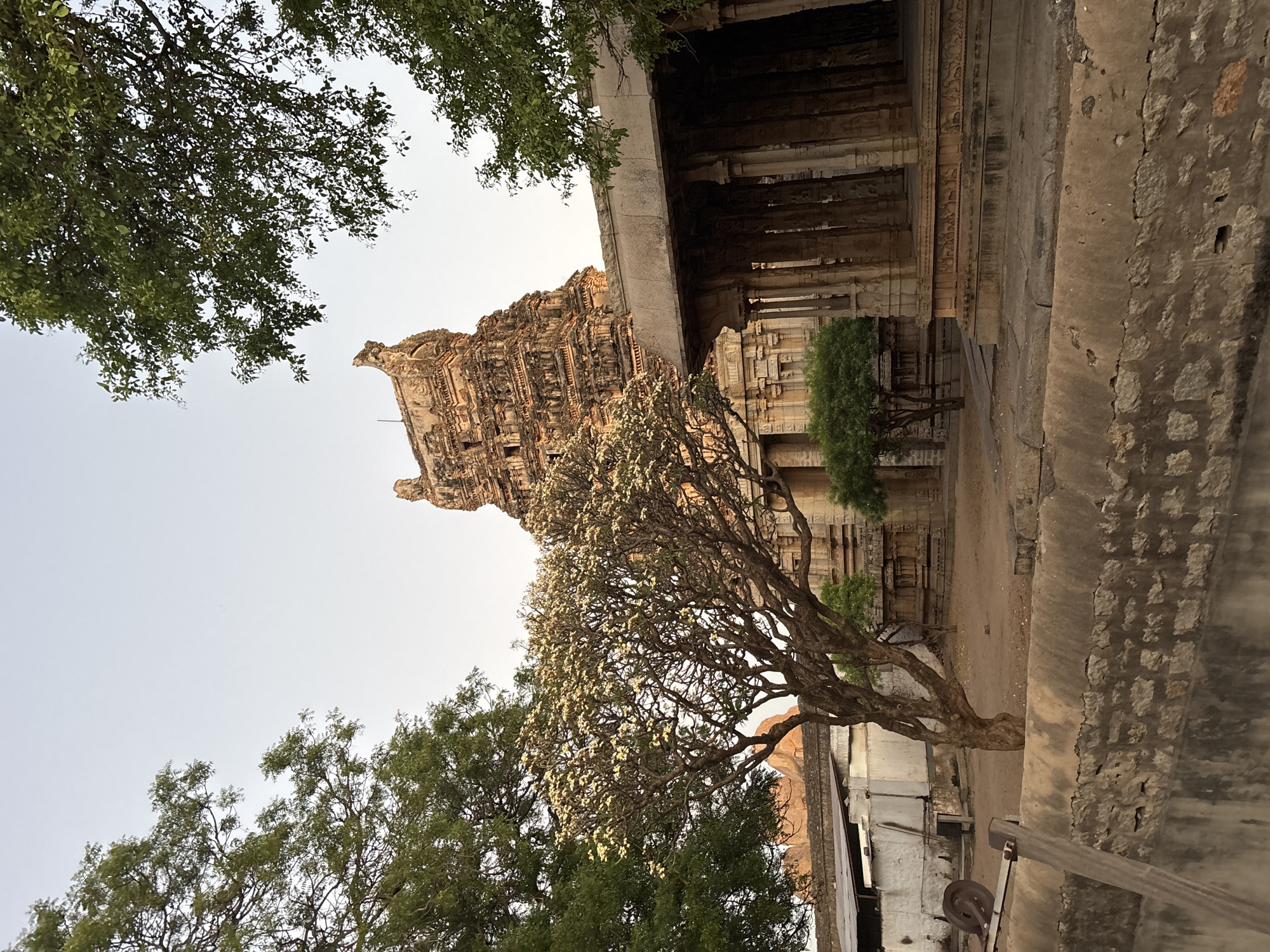 The image shows the Hazara Rama Temple in Kamalapura, India. The temple tower rises above trees and a building to the right. The temple complex is made of stone and is partially shaded. The sky is visible in the upper-left. A tree with light-colored flowers is in the center of the image. The image is taken from a low angle.