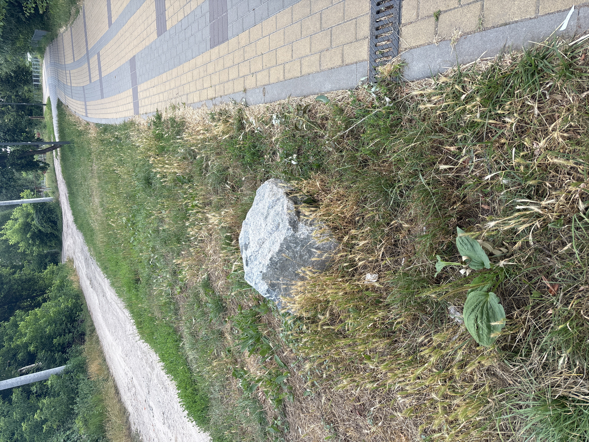 The image depicts a paved walkway and a dirt path in Bila Tserkva, Ukraine. The walkway is constructed with alternating yellow and gray rectangular pavers and curves to the right. A metal grate drain is visible at the edge of the walkway. Adjacent to the walkway is a grassy area with a large, gray boulder. Beyond the grassy area, a lighter-colored dirt path winds through a green, wooded area. Several streetlights and poles are visible along the path. The environment appears to be a park or recreational area.