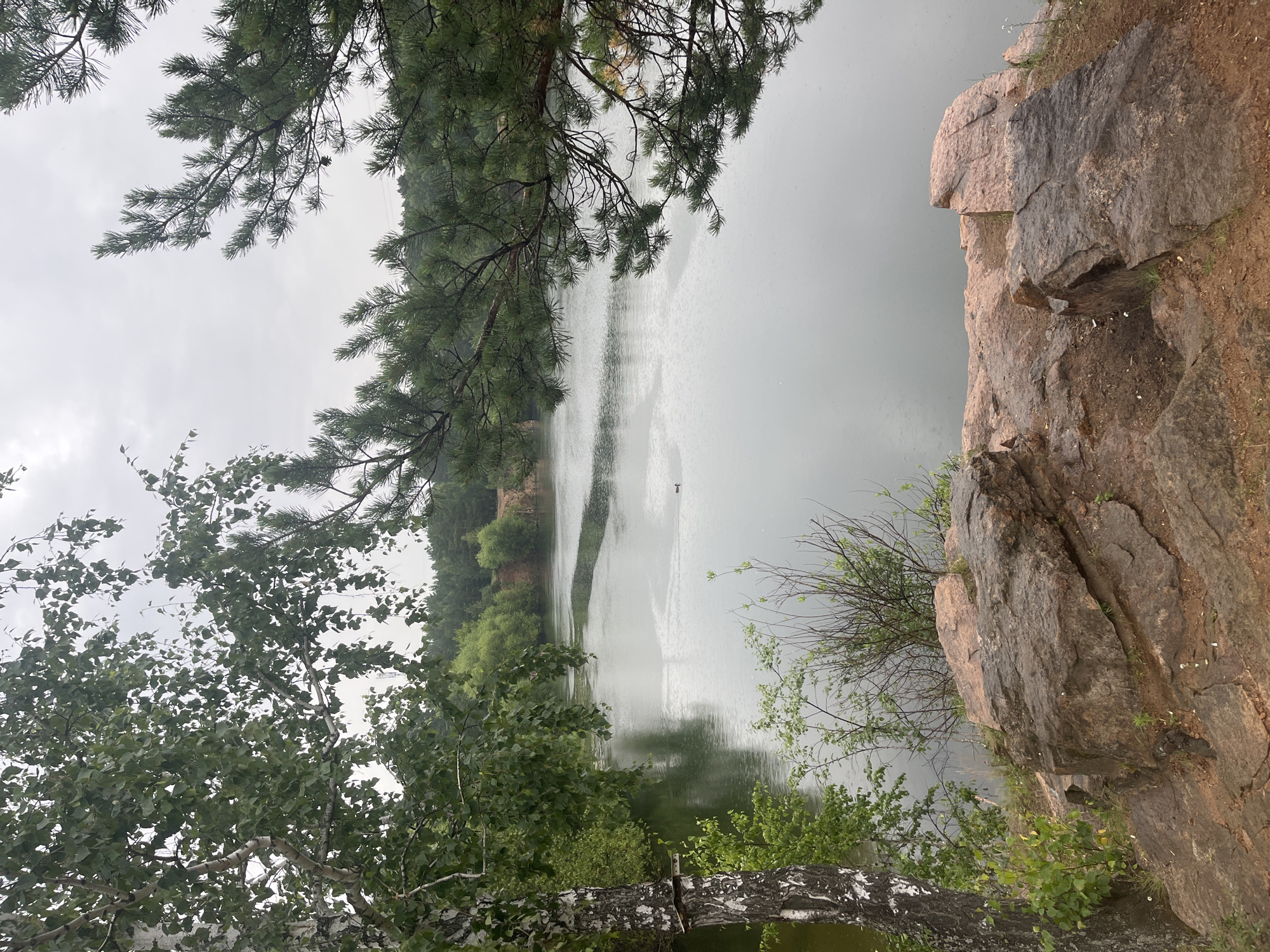The image shows a serene lake surrounded by trees and rocky terrain. In the foreground, large reddish-brown rocks are visible, covered in patches of dirt and small green plants. To the left, a birch tree with white bark and green leaves stands prominently. Beyond the rocks, a calm lake stretches out, its surface reflecting the overcast sky. A single dark bird is swimming on the water in the middle distance. The background is filled with a dense forest of green trees. The overall scene is natural and tranquil, suggestive of an outdoor recreational area or a natural preserve. This location appears to be the Shartash Stone Tents, a natural park on the outskirts of Chelyabinsk, Russia, known for its unique rock formations and scenic beauty.