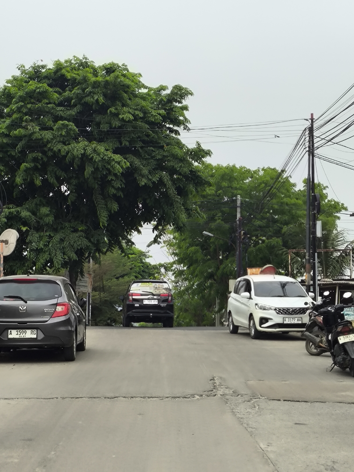 This image captures a street scene in Cilegon, Indonesia, on a cloudy day. In the foreground, the rear of a dark gray hatchback is visible, with a license plate reading "A 1599 RG". Further up the slightly inclined road, a black car is parked, displaying a license plate "B 1855 WIA". To the right, a white MPV with a license plate "A 1577 AU" is stationary, alongside two parked motorcycles, one of which has a license plate "A 5363 S...".
The environment is characterized by lush green trees dominating the left side of the frame, with more foliage and some buildings visible in the background. A network of electrical wires and poles is prominent on the right side of the image, suggesting an urban or suburban setting. The road surface shows signs of wear and tear, with visible cracks and potholes. The overall atmosphere is overcast, indicating a lack of direct sunlight.