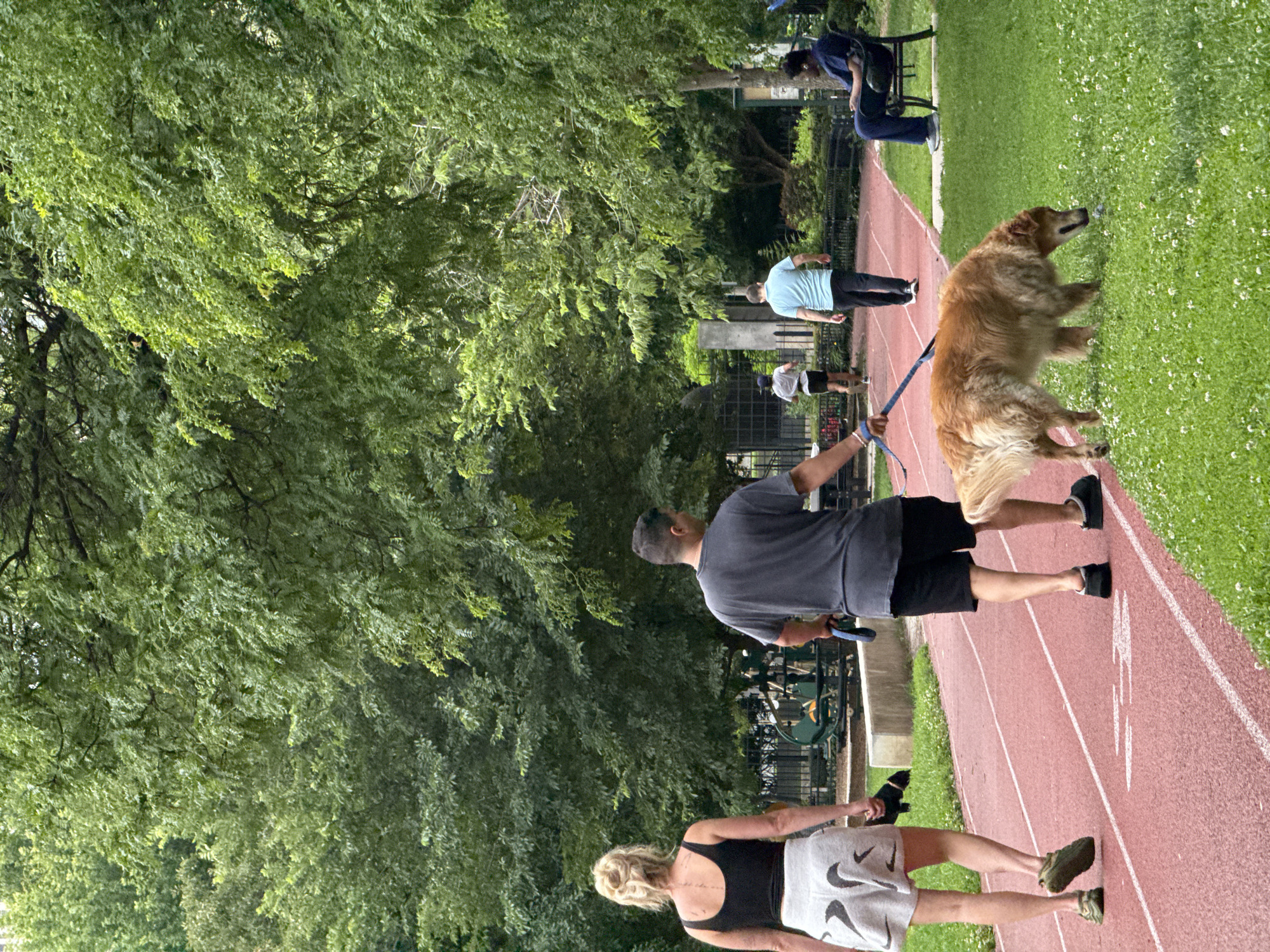 In a park in Chicago, Illinois, a man is walking a golden retriever on a red track. The dog is sniffing the grass. A woman is walking ahead of them on the track. Further down the track, a man in a blue shirt and black pants is walking, and another person is running. In the background, a person is sitting on a bench. The park is filled with green trees.