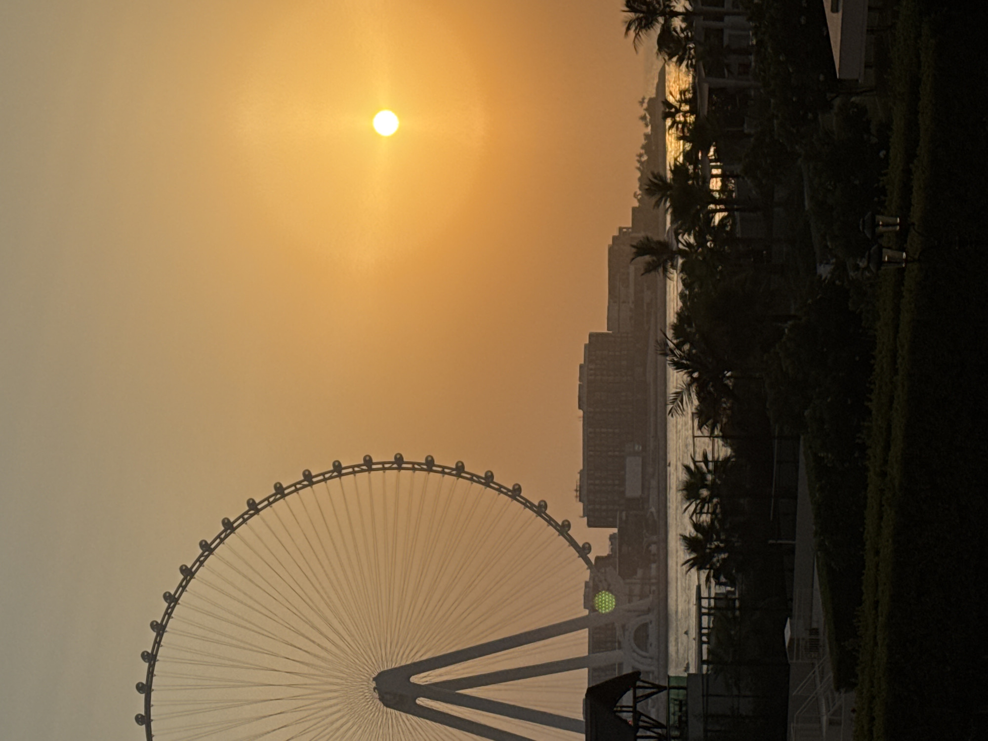 The image depicts a sunset over a coastal city, likely Dubai, United Arab Emirates. The dominant subjects are a large Ferris wheel, a section of skyscrapers, and lush green foliage. The Ferris wheel, a prominent object in the foreground, is silhouetted against the hazy, orange sky, its spokes and observation pods clearly visible. Behind it, modern skyscrapers rise, their structures softened by the atmospheric conditions. Palm trees, characteristic of the region, are scattered throughout the scene, adding to the tropical ambiance.
The sun, a bright, glowing orb, is positioned high in the sky, casting a warm, golden light that permeates the entire frame. The sky is a gradient of orange and yellow, suggesting either a dusty or hazy atmosphere, typical of sunset in arid regions. The sea is visible in the distance, reflecting the warm light of the sun. The overall mood is serene and picturesque, with a sense of tranquility associated with the end of the day.
No people are distinctly visible in the image, but the presence of the Ferris wheel and the cityscape implies a populated urban environment. The time of day is clearly sunset, given the sun's position and the warm lighting. The weather appears to be warm and possibly humid, with haze contributing to the soft focus of the distant elements. The presence of tall buildings and palm trees are strong indicators of a modern, possibly resort-style, coastal city like Dubai. There is no visible text in the image.