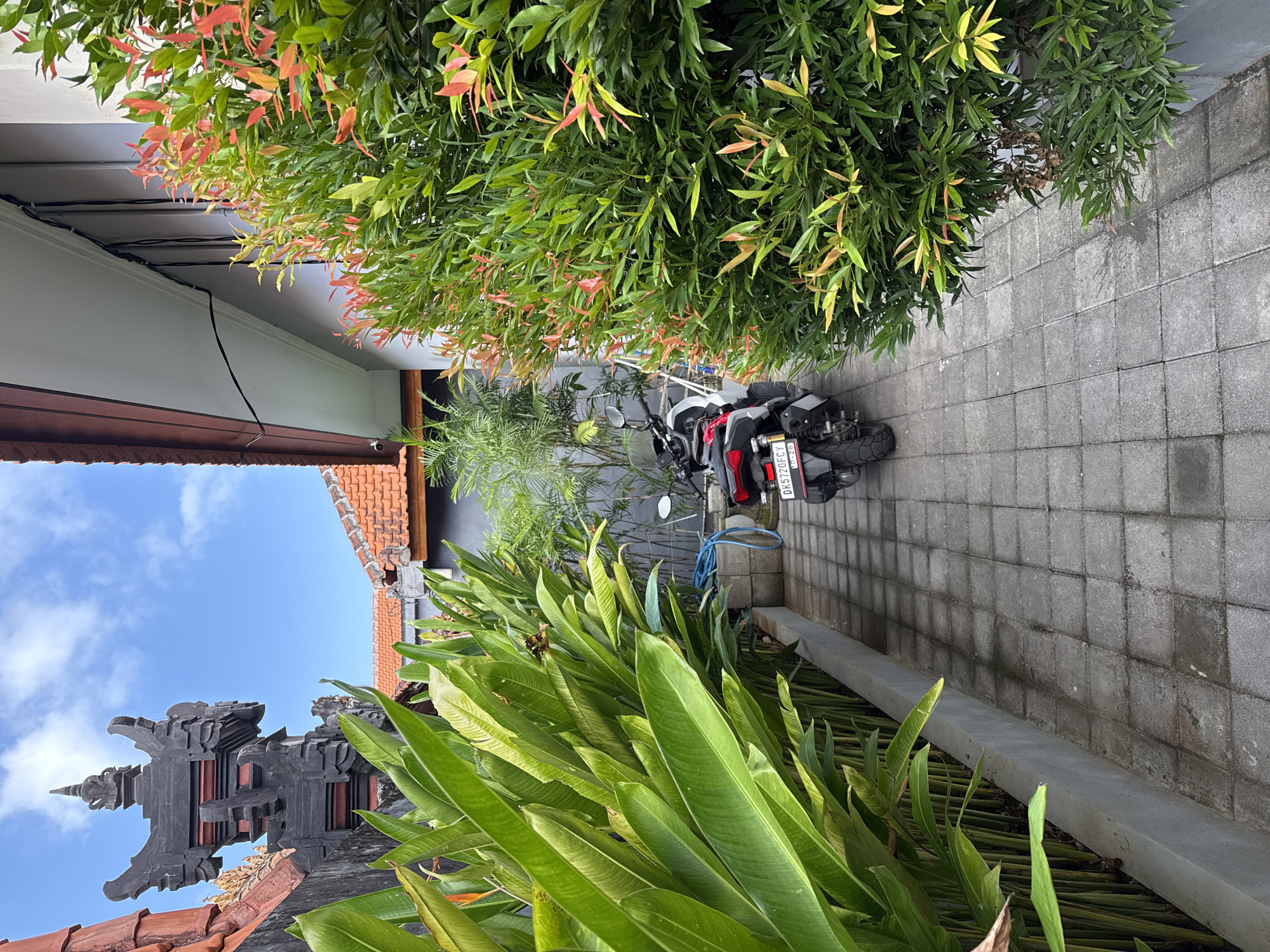 This image depicts an outdoor pathway in Kuta Selatan, Indonesia, likely at a residential property. The pathway is paved with gray square tiles, some of which appear damp and slightly stained. On the left side of the pathway, a lush green plant with large, elongated leaves is growing along a low concrete border. Beyond this plant, a traditional Balinese temple gate structure, made of dark stone and adorned with intricate carvings, is visible against a bright blue sky with scattered white clouds. The roof of a nearby building, tiled in terracotta, is also present.
On the right side of the pathway, a dense green bush with new growth exhibiting red and orange hues lines the wall of a building. The building wall is white with dark trim and visible electrical wires running along the overhang.
In the middle of the pathway, a parked black and red scooter is the primary subject. The scooter has a license plate with the characters "DK5720FCY" and "10-28". A blue hose is coiled on the ground near the scooter. In the background, behind the scooter, there are some smaller green plants with thinner leaves. The scene suggests a sunny day with clear weather. There are no people visible in the image.