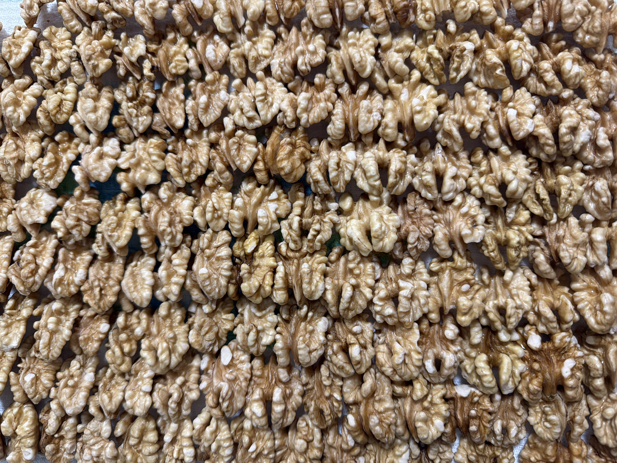 The image shows a dense arrangement of shelled walnut halves. The nuts are positioned closely together, creating a textured surface that covers the entire frame. The walnut halves vary slightly in color from a light cream to a deeper tan. No location information is provided.