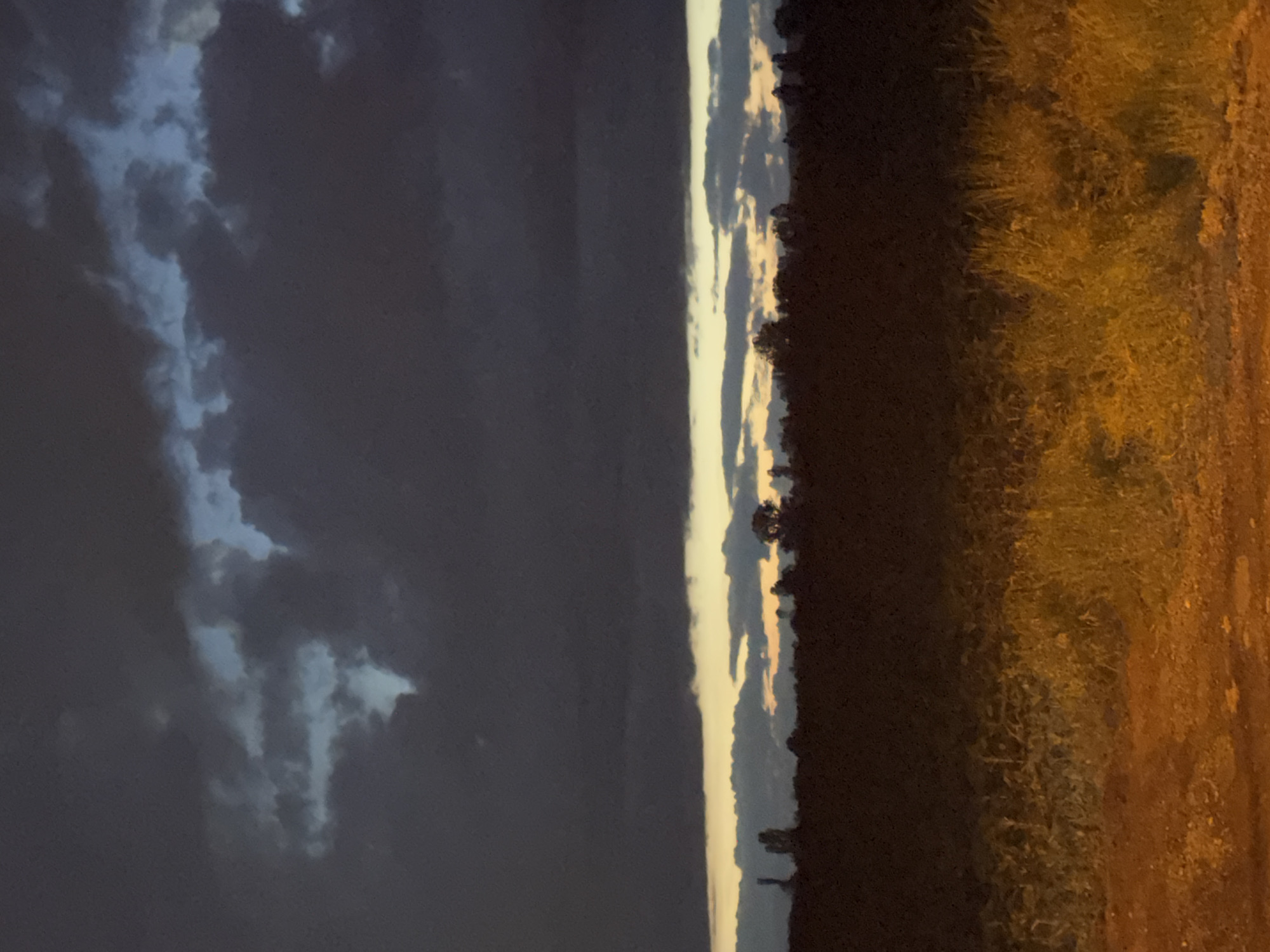 This media file captures a landscape scene at dusk or early night in Yana, Bulgaria. The image is oriented vertically, showing the horizon line running down the center, dividing the frame into two halves.
The left half of the image, representing the sky when viewed correctly, is dominated by dark, heavy clouds. A strip of lighter sky, displaying pale blues and soft yellows, is visible along the horizon, suggesting residual daylight or light reflecting from behind the clouds. Parts of the clouds are subtly illuminated, creating definition against the darker sections.
The right half of the image, representing the land, features a prominent horizontal line of silhouetted trees or dense vegetation against the lighter sky at the horizon. Below this, a field of dry, textured grass or vegetation extends towards the foreground, glowing with a warm, golden-orange hue. This intense illumination suggests an artificial light source, possibly from the far right of the frame, casting a strong glow over the ground. The immediate foreground appears to be a dirt path or ground, also bathed in this warm light.
There are no people or man-made objects other than the implied light source, nor is there any visible text. The atmosphere is quiet and serene, with a dramatic contrast between the somber sky and the warmly lit earth.