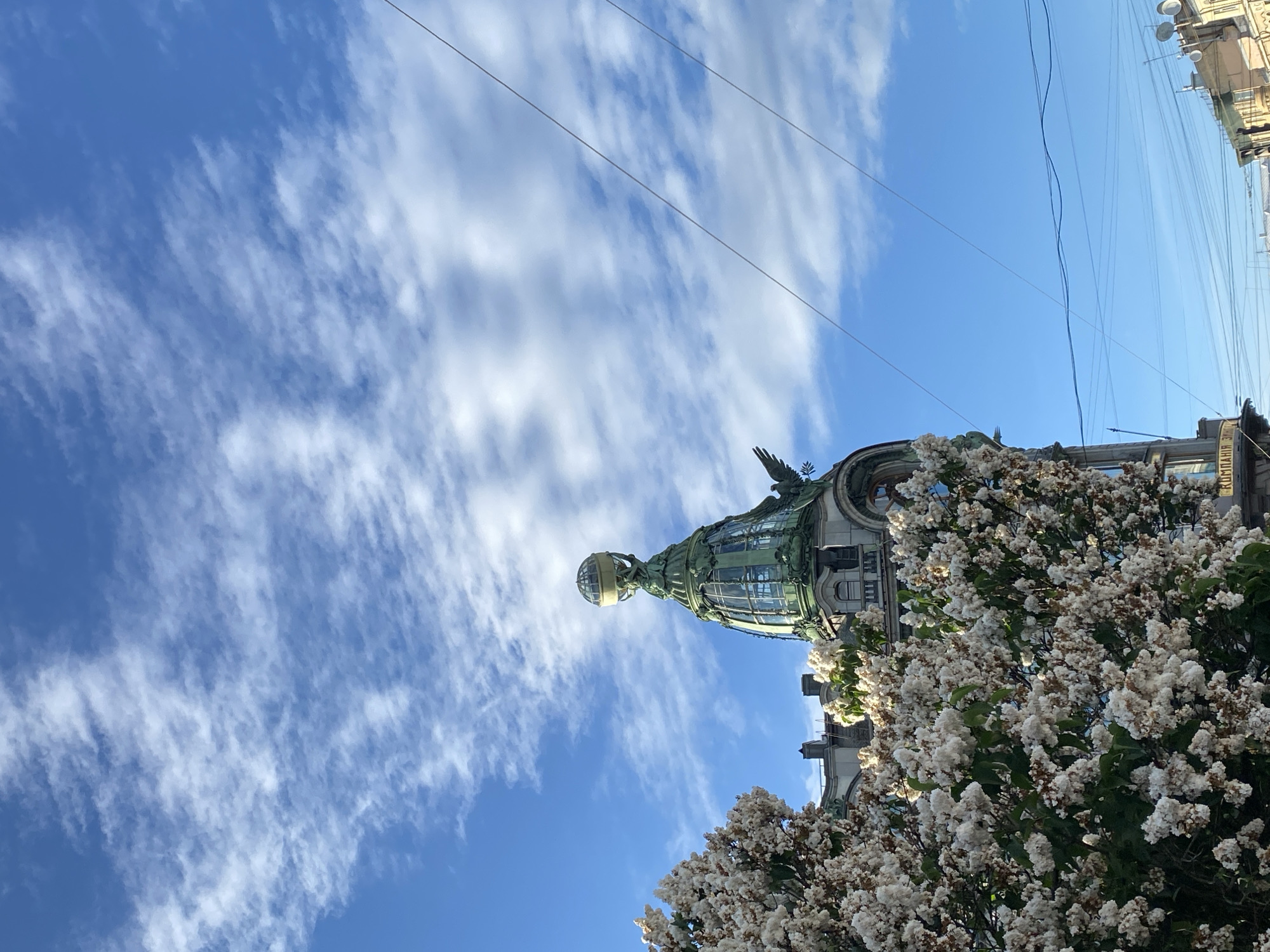 An outdoor, upward-angled shot captures the iconic Singer House (Dom Knigi or House of Books) in Saint Petersburg, Russia, against a bright blue sky dotted with scattered, wispy white clouds. The building's distinctive Art Nouveau architecture is prominent, featuring an ornate, verdigris-green dome topped with a golden globe. An eagle sculpture is visible near the base of the dome, adding to its grandeur.
In the foreground, a large bush or tree with abundant clusters of small white flowers fills the lower right portion of the frame, partially obscuring the building's lower sections and another adjacent structure. Multiple thin, dark wires crisscross the upper sky, indicating urban infrastructure. On the far right edge, parts of another building are visible, showing windows and what appears to be satellite dishes or antennae. Faint Cyrillic text, reading "КОМПАНИЯ ЭРИКСОН" (KOMPANIYA ERIKSON), can be discerned on this adjacent building.
The scene is brightly lit by daylight, suggesting a clear and pleasant day, likely morning or afternoon. No people or specific activities are visible, emphasizing the architectural and natural beauty of the urban landscape.
