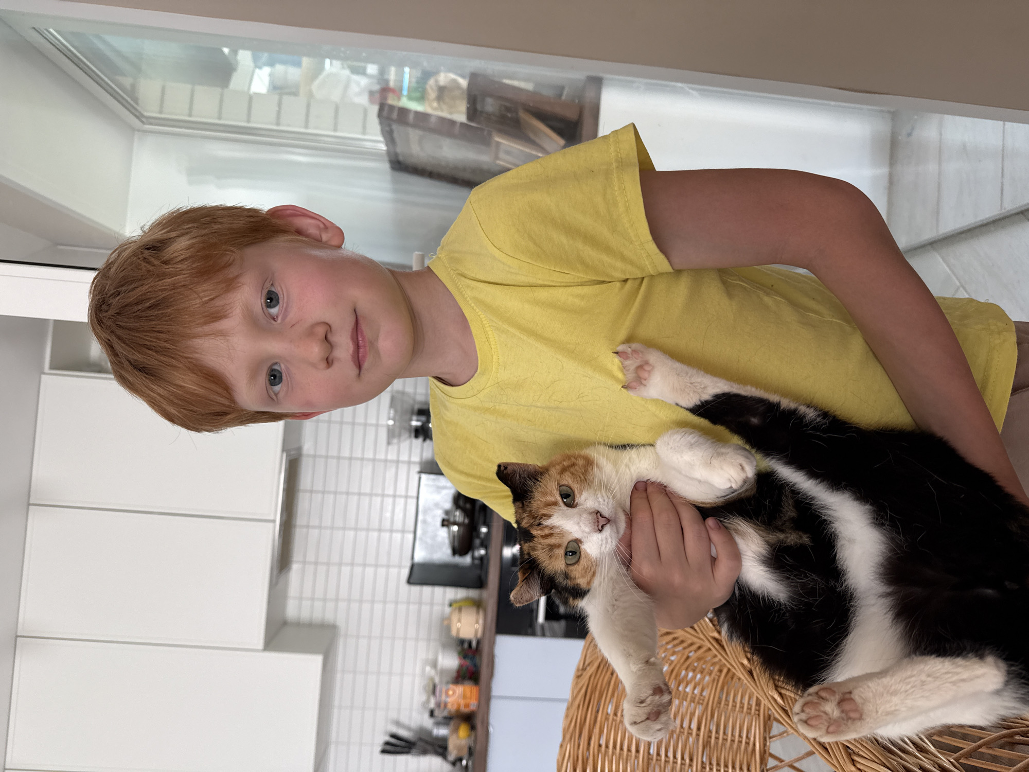 In a domestic kitchen setting in Pyachanki, Russia, a young boy with red hair and blue eyes is holding a calico cat. The boy is wearing a yellow t-shirt and appears to be looking towards the camera with a gentle smile. The cat, predominantly white with patches of black and orange, is held securely in the boy's arms and is looking slightly away from the camera. The background features modern kitchen cabinetry with white fronts, white tiled walls, and a hint of kitchen appliances. A large window is visible behind the boy and cat, suggesting natural light is present, possibly indicating daytime. The overall mood is relaxed and affectionate, highlighting the bond between the child and the pet. There is no visible text in the image.