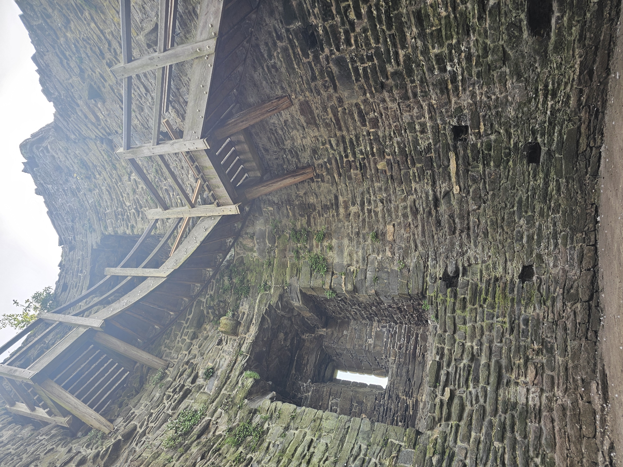 This is an interior view of a stone tower in Conwy, United Kingdom. A wooden staircase is visible on the left side, ascending along the curved wall. The tower's interior is constructed from grey and dark grey stone bricks. A window opening is located on the right side of the frame, allowing daylight to enter. Moss and other small plants grow on the stone walls, indicating moisture and age. The scene is static.