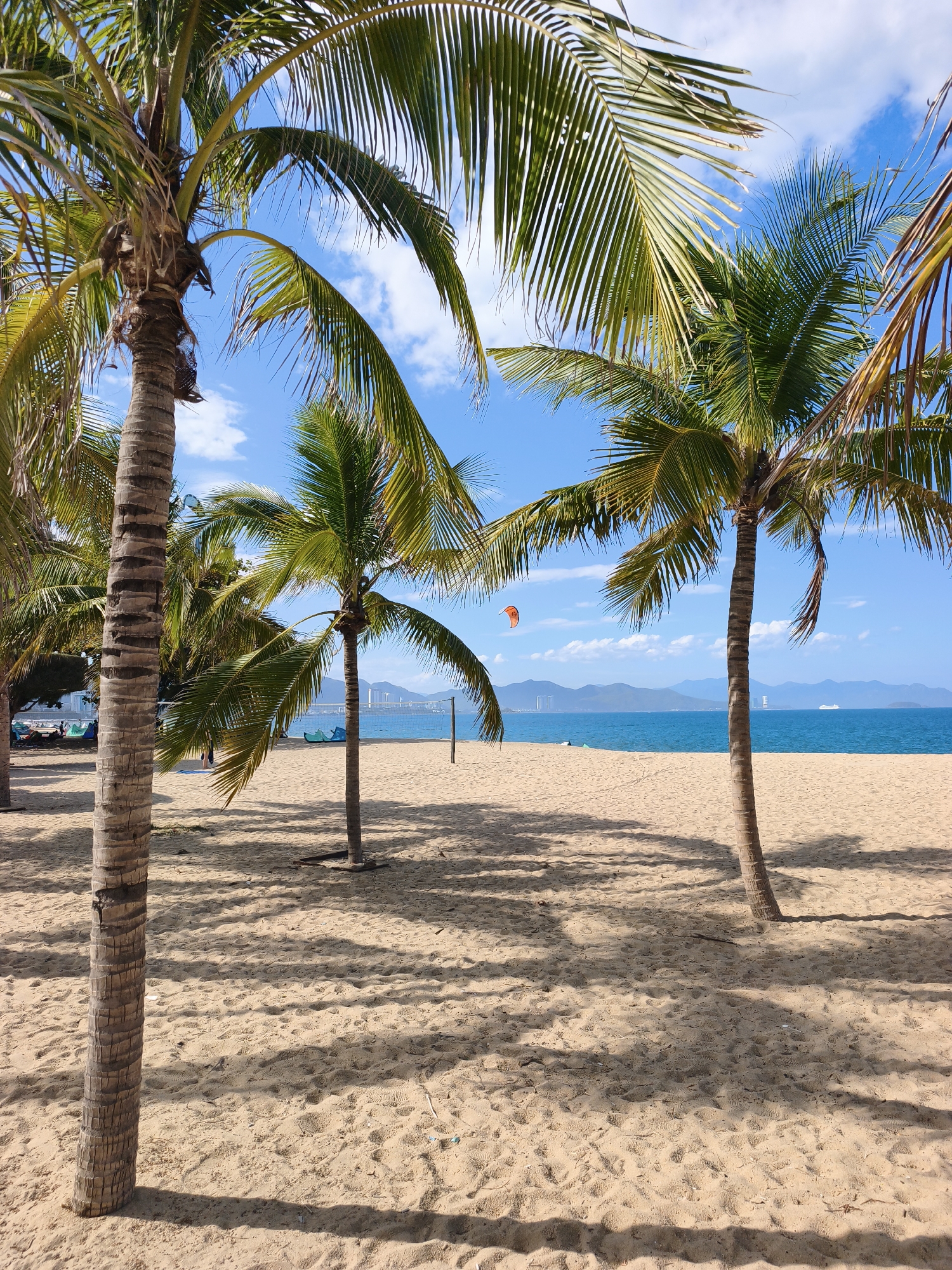 This is a photograph of a beach in Nha Trang, Vietnam. The image features a sandy beach with several palm trees in the foreground, their fronds casting shadows on the sand. In the background, the turquoise waters of the sea meet a distant coastline with mountains and buildings. The sky is blue with scattered white clouds. A kite is visible in the sky above the water. There is a volleyball net set up on the beach, and a few scattered beach chairs and umbrellas can be seen further down the shore. The overall scene suggests a tropical, relaxed atmosphere.