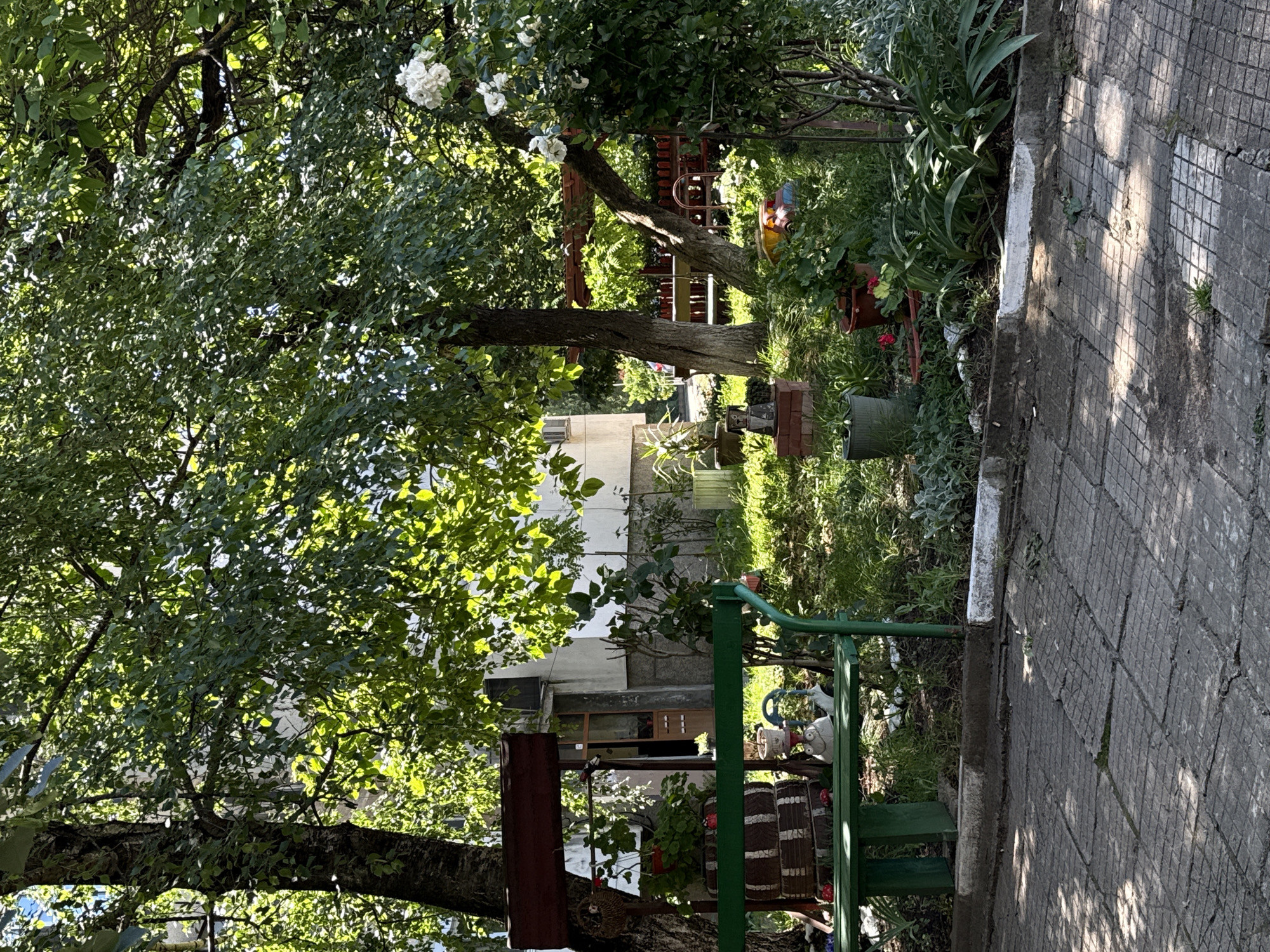 This image depicts a quaint, sun-drenched garden area adjacent to a residential building in Vratsa, Bulgaria. The scene is dominated by lush green foliage from mature trees casting dappled shadows on a paved courtyard and a well-tended garden. In the foreground, a weathered green metal bench with a patterned cushion sits on a paved area. Behind the bench, the garden is filled with various potted plants, including a prominent rose bush with white flowers on the right side. A decorative structure made of stacked tires supports planters. The background reveals the side of a concrete apartment building. The overall impression is one of a peaceful, green urban space.