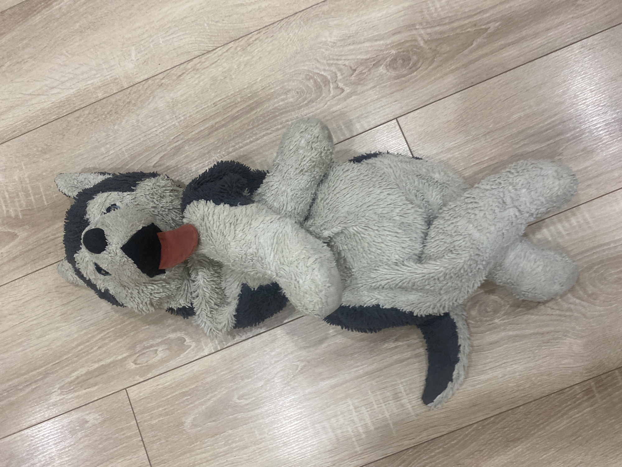 A stuffed husky dog toy lies on a light wood floor. The toy is gray and white with black markings around its eyes and ears. Its tongue, which is red, is sticking out of its mouth. The husky is lying on its back with its legs in the air. The floorboards are arranged diagonally, and there are visible wood grain patterns. The lighting suggests an indoor setting, likely in a home. There is no text visible in the image.