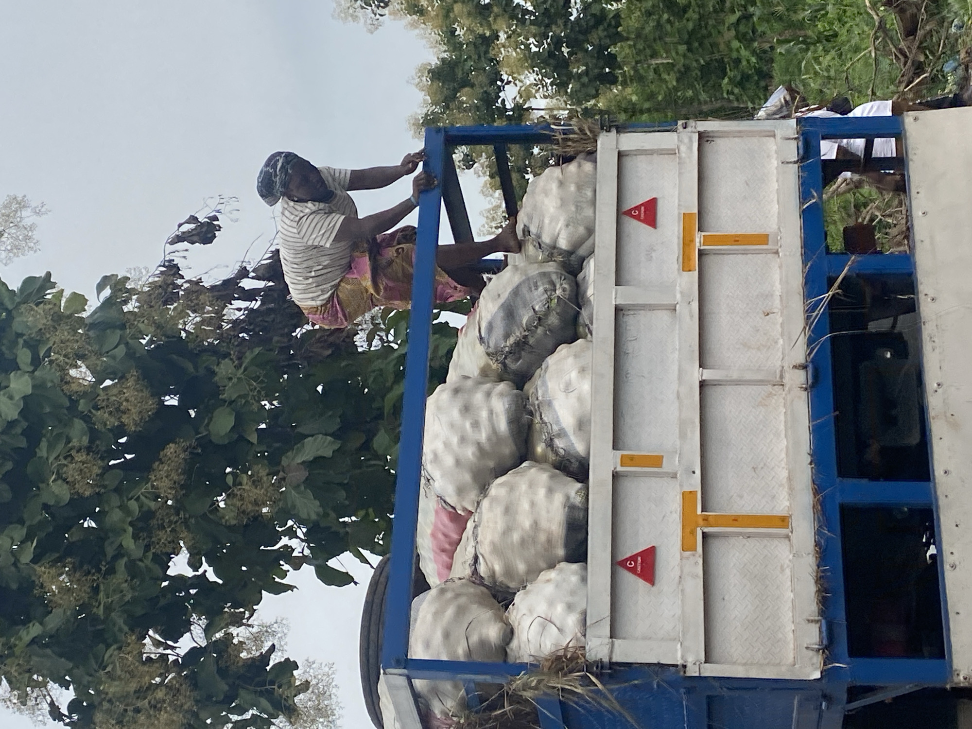 A full-shot vertical photo shows a woman on top of a truck loaded with large white sacks. The truck is blue and white. The woman is wearing a striped t-shirt and a patterned skirt and is bent over, reaching down into the truck. She is barefoot. The sacks appear to be filled with agricultural produce. In the background, there are trees and a cloudy sky. A red triangular caution sign with a white 'C' in the center is visible on the side of the truck. The scene is likely in a rural or semi-rural area, given the presence of agricultural produce and natural vegetation. This image was captured in the city of Gidan Waya, Nigeria.