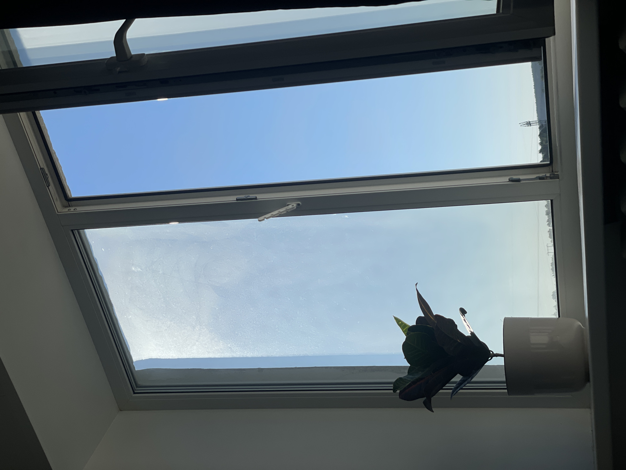 The image depicts a view through a window of a plant in a white pot placed on a windowsill. The plant has dark green and red leaves. The window is open, revealing a clear blue sky. To the left, the windowpane is partially obscured by a light haze or condensation. In the distance, a treeline and a distant tower or pylon are visible against the horizon. The overall scene suggests an indoor setting looking out onto an outdoor environment.