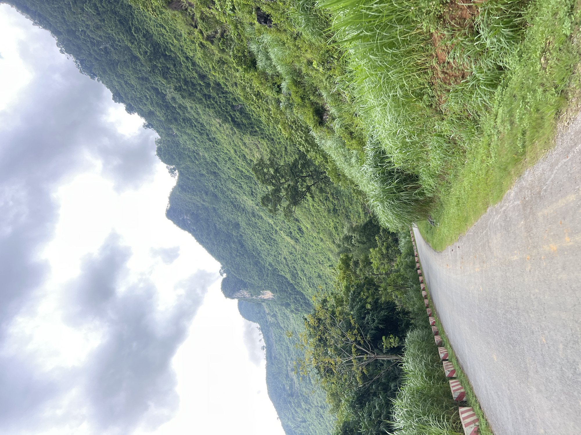 A paved road curves to the right, bordered by concrete barriers with red and white stripes. Lush green vegetation, including tall grasses and trees, flanks the road and climbs steep, verdant mountains under a cloudy sky. The mountains are densely covered with trees and foliage, with some rocky outcrops visible. The scene depicts a natural landscape, likely in a rural or mountainous area.