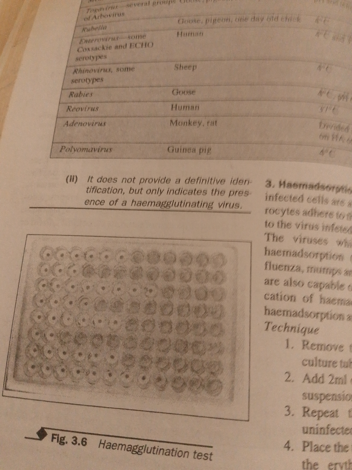 The image depicts a close-up view of a page from a scientific textbook or document. The main focus is on a table listing different viruses and their associated hosts, along with a paragraph of text labeled "(ii)" and a diagram of a microplate.
**Subjects:** The primary subjects are educational materials related to virology. There are no people or animals visible, only printed text and an illustration.
**Objects:** The prominent objects include the printed page with a table, text, and a diagram of a 96-well microplate. The table lists virus names like "Togavirus," "Rubella," "Enterovirus," "Rhinovirus," "Rabies," "Reovirus," "Adenovirus," and "Polyomavirus." The text discusses the limitations of a certain test. The microplate diagram shows numerous circular wells, some appearing to contain a liquid or precipitate.
**Scene/Setting:** The setting is implied to be an academic or research environment, given the nature of the content. There are no environmental cues like weather or specific location details, other than a title "Fig. 3.6 Haemagglutination test" at the bottom of the page.
**Activity/Event:** The image captures a static moment, showcasing information from a scientific text and a diagram illustrating a laboratory technique (haemagglutination test). The text explains a diagnostic process.
**Notable Details:**
* **Visible Text:** The table lists various viruses and their hosts. The text "(ii) It does not provide a definitive identification, but only indicates the presence of a haemagglutinating virus" is clearly legible. A numbered list starting with "3. Haemadsorption..." and continuing with "1. Remove...", "2. Add 2ml...", "3. Repeat...", and "4. Place the..." is also visible, suggesting a protocol or explanation of a technique. The title "Fig. 3.6 Haemagglutination test" provides context.
The image focuses on scientific information, specifically related to viruses and diagnostic testing methods.