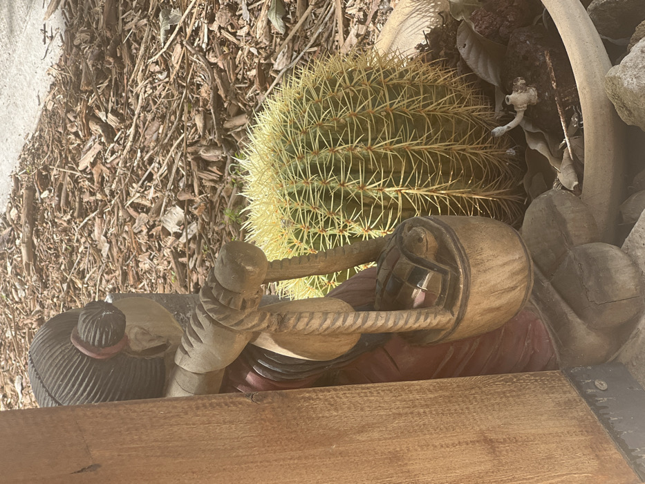 The image displays an outdoor scene in the Hof Ashkelon Regional Council, Israel, featuring a carved wooden figure and a cactus. On the left, a light-brown wooden sculpture, possibly representing a woman, is partially visible, obscured by a vertical wooden post. The figure has carved hair styled in a bun, a reddish-brown garment, and holds a wooden bucket from which a stylized checkered object, possibly a turtle, protrudes. To the right of the sculpture, a large, spherical golden barrel cactus with dense yellow spines is prominently displayed within a wide-rimmed, light-colored planter. The surrounding ground and background are covered with reddish-brown wood chip mulch. Inside the planter, near the base of the cactus, lie dry leaves and a small white, L-shaped object. Rocks are visible around the base of the planter. The scene is brightly illuminated by direct sunlight, casting distinct shadows.