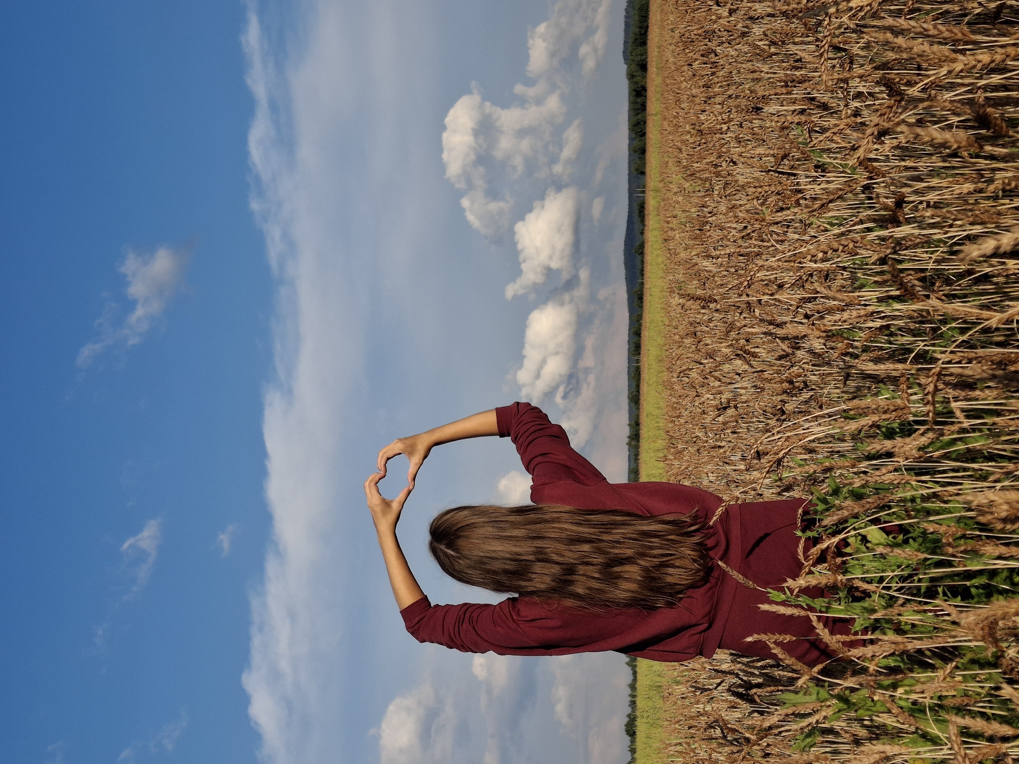 In the city of Plishkino, Russia, a young woman stands in a field of wheat, facing away from the camera. Her long, brown hair cascades down her back, and she is wearing a burgundy sweatshirt and matching pants. Her arms are raised, and her hands are clasped together to form a heart shape above her head. The wheat field stretches out before her, its golden stalks reaching towards a bright blue sky dotted with fluffy white clouds. In the distance, a line of trees marks the horizon. The sun is shining, casting a warm glow over the scene.