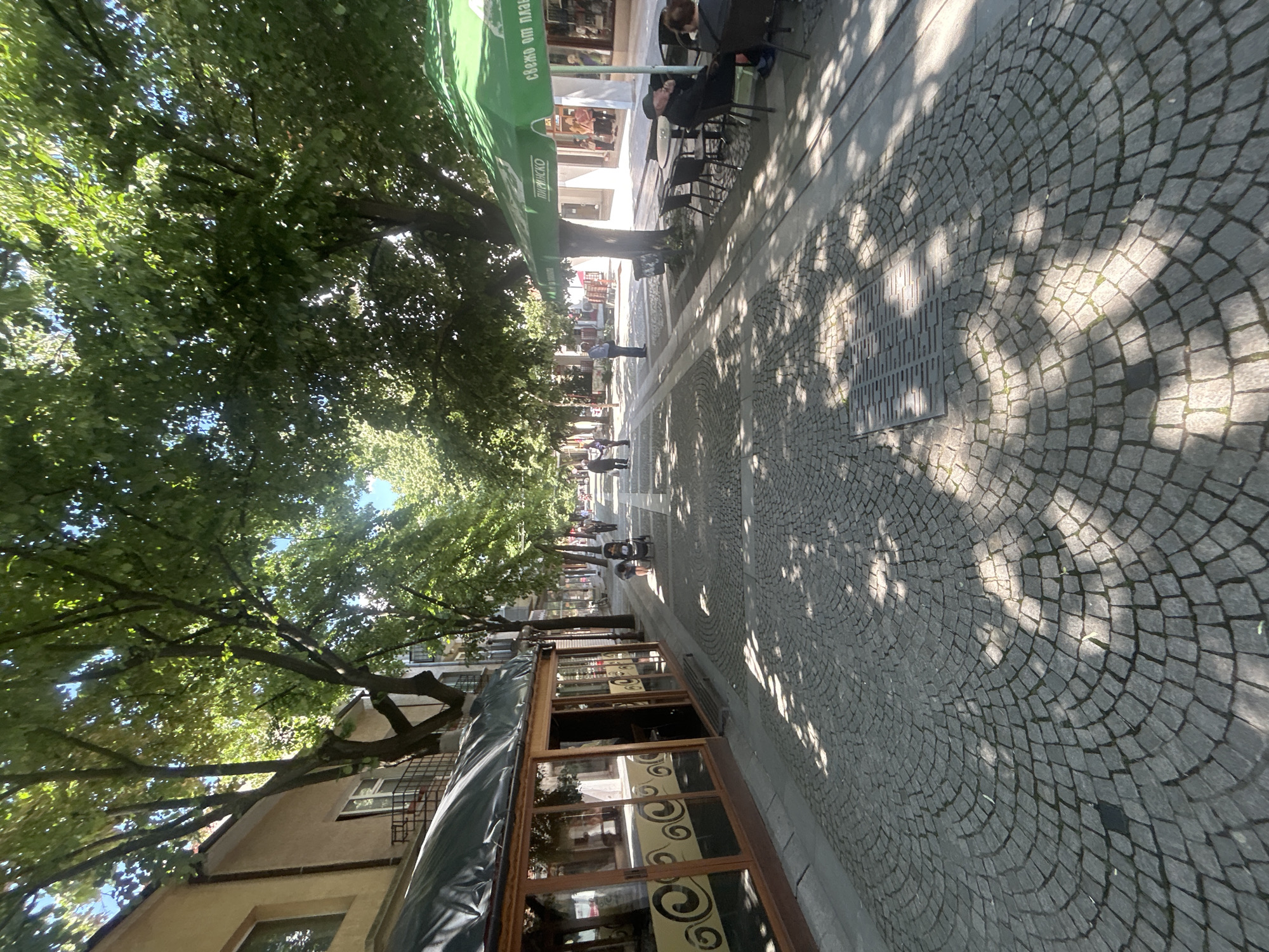 The image depicts a street scene in the city of Unknown, Unknown, characterized by a pedestrian thoroughfare paved with cobblestones arranged in circular patterns. A canopy of mature trees lines the street, casting dappled shadows on the pavement. On the right side of the image, outdoor seating is set up, with tables and chairs occupied by individuals, suggesting a cafe or restaurant setting. On the left side, buildings with shopfronts are visible, with one establishment featuring large glass windows adorned with decorative patterns. People are seen walking along the street, adding to the scene's vitality. The angle of the photograph and the elongated perspective contribute to a sense of depth, emphasizing the length of the street.