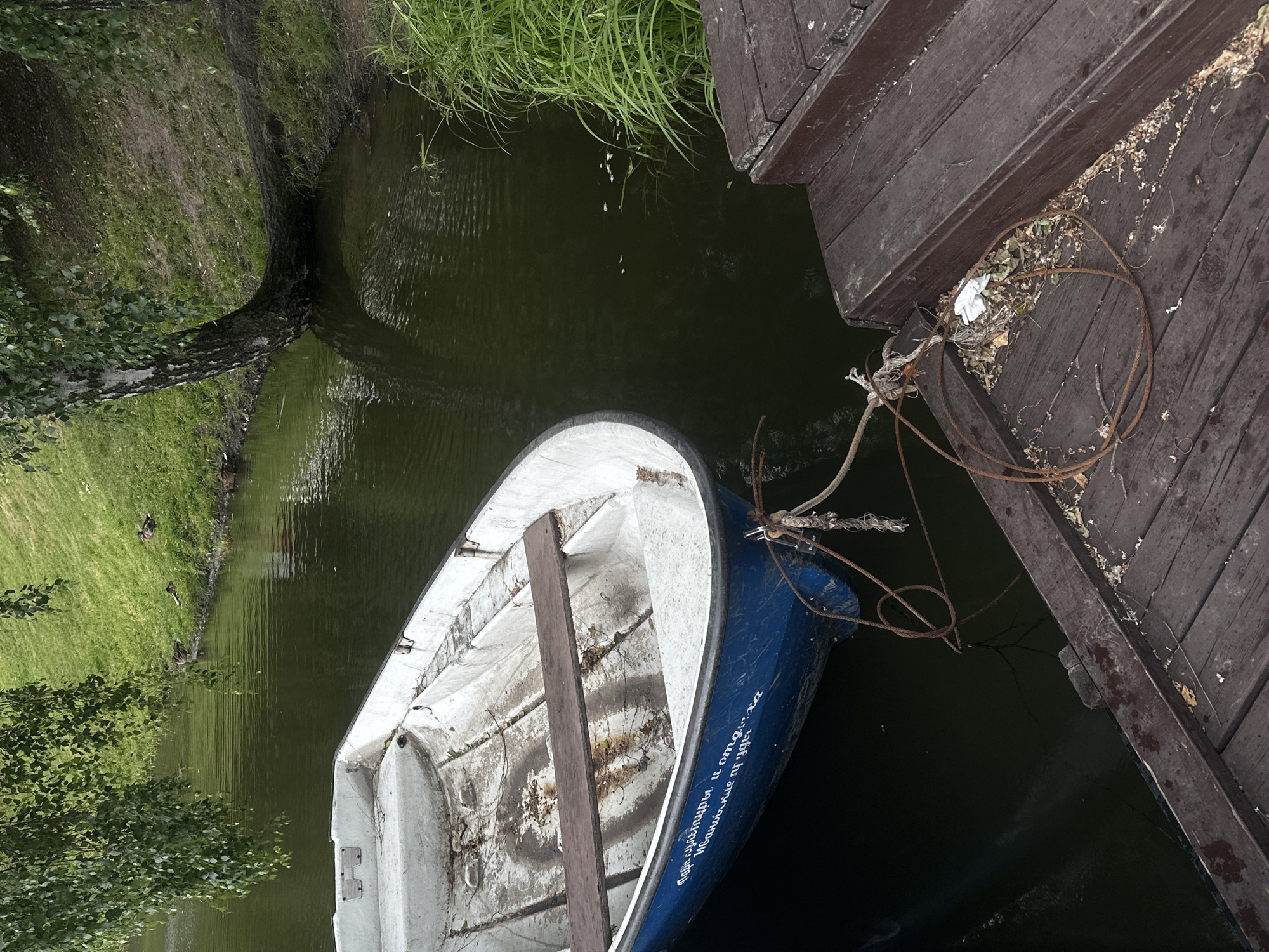 The image shows a blue and white rowboat tied to a wooden dock on a body of water. The boat is empty and appears weathered. The dock is made of dark wood planks and has some debris on it, including leaves and a white piece of paper. The water is dark and still, reflecting the surrounding greenery. In the background, a grassy bank slopes down to the water, with a birch tree leaning over the water's edge. Some ducks are visible on the grassy bank. The scene appears to be in a park or natural area. The writing on the side of the boat is in Cyrillic script and is not clearly legible. Based on the context provided, this scene is located in the city of Krasnogorsk, Russia.