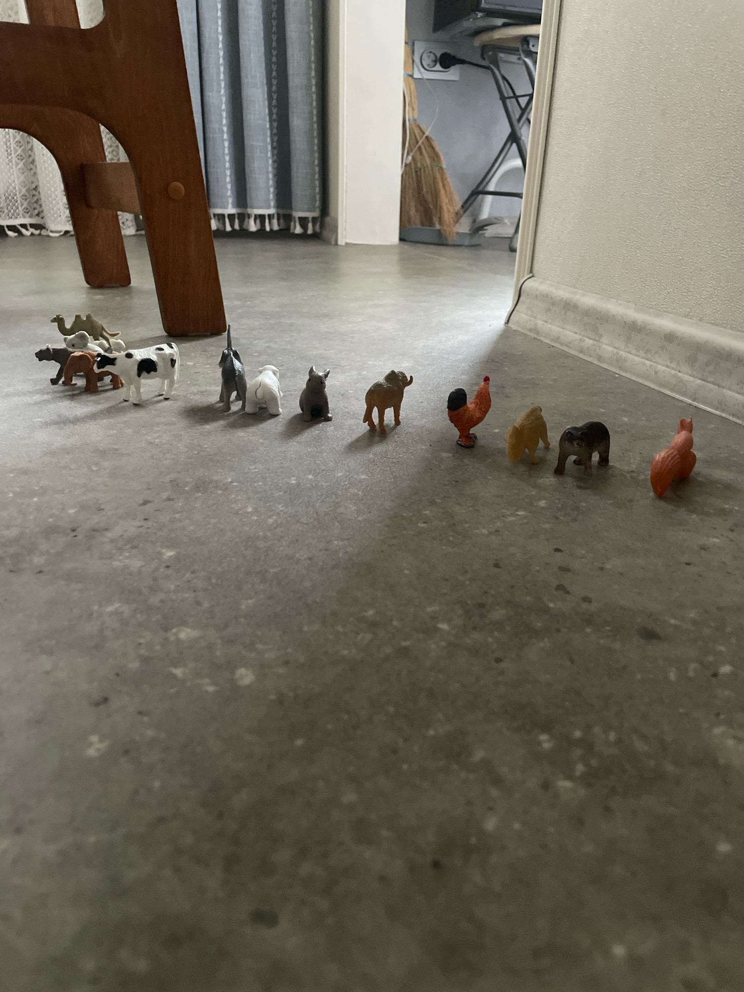 In a dimly lit room with a concrete floor, a collection of small plastic animal figurines are arranged in a line. From left to right, the figurines include a camel, a brown animal that appears to be a bear or dog, a black and white cow, a grey elephant, a white sheep, a brown dog, a tan elephant, a red and orange rooster, a tan dog or bear, a black dog or bear, and a red squirrel. In the background, a wooden chair and a wall are visible. The scene is not located in Talagi, Russia.