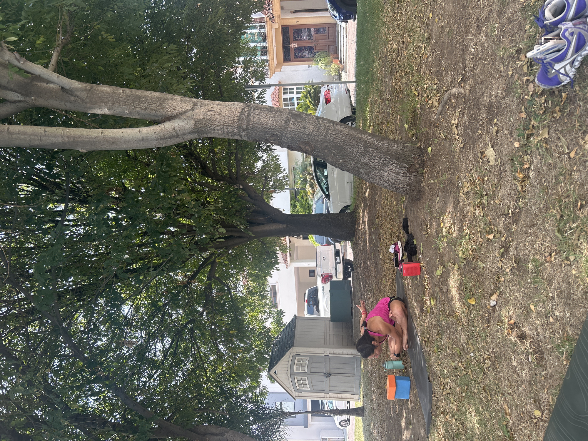 A woman in a pink top and black shorts is performing yoga on a black mat in a grassy area. Her yoga accessories include an orange, a blue, and a green block, along with a red box, a black belt, and a phone. Behind her is a shed with a grey door. In the background, there are multiple cars and houses visible. The grassy area is partially covered with leaves and is shaded by a large tree with a thick trunk that is in the center of the image. The location appears to be in a residential area, possibly in Barrio de Nuevo León, Mexico.