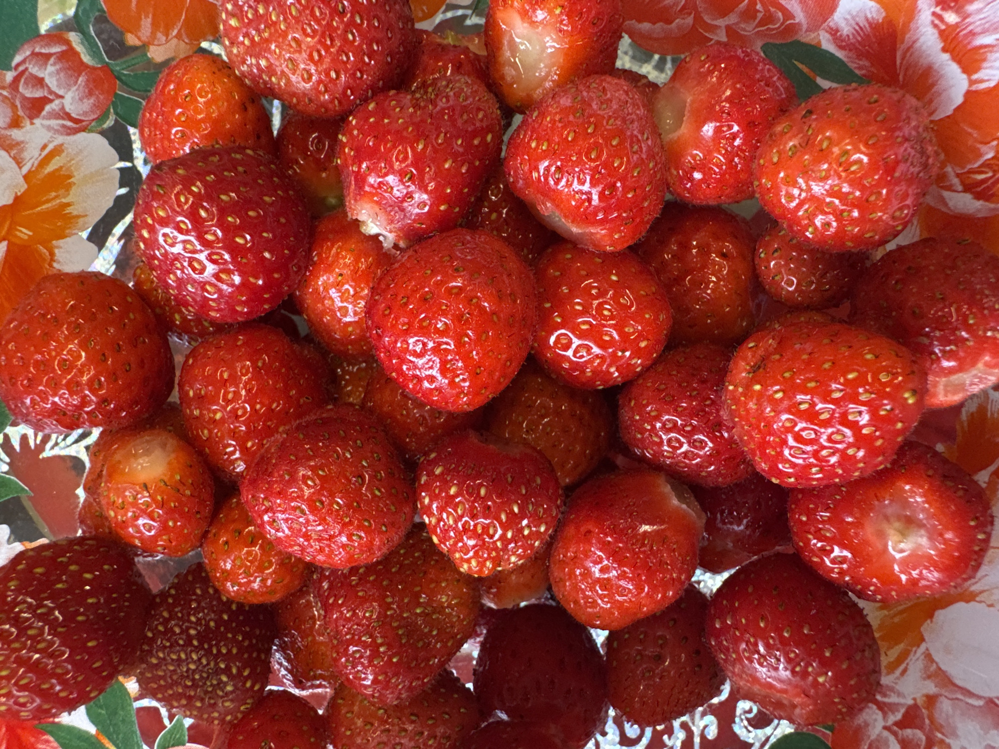 A close-up, overhead shot displays a bowl overflowing with ripe strawberries. The strawberries are primarily a vibrant red, with some showing slight variations in hue and texture. Many of the berries are speckled with tiny yellow seeds, characteristic of their ripeness. The bowl appears to be placed on a surface with a floral pattern, featuring large orange and white petals, suggesting it might be a decorative dish or placemat. The lighting suggests the image was taken indoors with natural light, highlighting the glossy surface of the fruits. There are no people or animals present in the image. The overall scene is a simple, naturalistic depiction of fresh fruit.