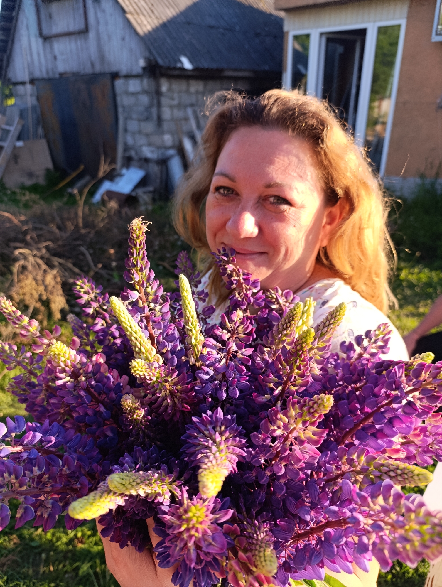A fair-skinned adult female, appearing middle-aged with light brown, wavy hair and green/hazel eyes, smiles directly at the camera while holding a substantial bouquet of vibrant purple lupine flowers. She wears a light-colored, possibly white, patterned top. Strong golden light illuminates her face and hair from the right. The bouquet covers her lower face and upper torso. In the immediate background to the left, there is a weathered wooden shed with a gray corrugated roof, adjacent to a cinder block structure with a similar roof. Debris, including a rusty metal sheet and a ladder, is visible near these buildings. To the right of the woman, a portion of a house with light brown stucco walls and multiple white-framed windows reflecting green foliage is visible. The ground is covered with sparse vegetation and bare earth. A partially visible arm and hand belonging to another individual are present in the lower right corner of the frame. The scene is outdoors, set in the city of Unknown, Unknown, likely during late afternoon or early evening.