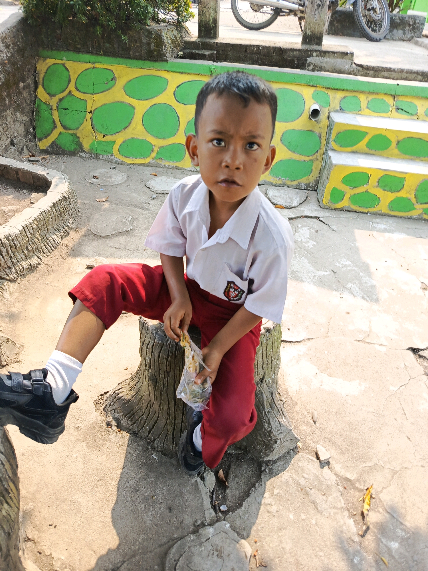A young boy, appearing to be of primary school age, sits on a tree stump in what appears to be a schoolyard or public park area in Karya Dadi, Indonesia. He is wearing a white short-sleeved shirt with a red emblem on the left breast pocket, and red pants. White socks and black velcro shoes are visible on his feet. The boy is holding a clear plastic bag containing some food items.
The environment surrounding the boy is outdoors. Behind him, a low wall is painted with a repeating pattern of green ovals within a yellow background. To the right of the wall, a set of concrete stairs with a similar yellow and green painted pattern is visible. The ground is a mixture of concrete and dirt, with scattered leaves. In the background, parts of a motorcycle and some vegetation are visible, suggesting a semi-rural or suburban setting. The lighting suggests it is daytime, with strong sunlight casting shadows.
