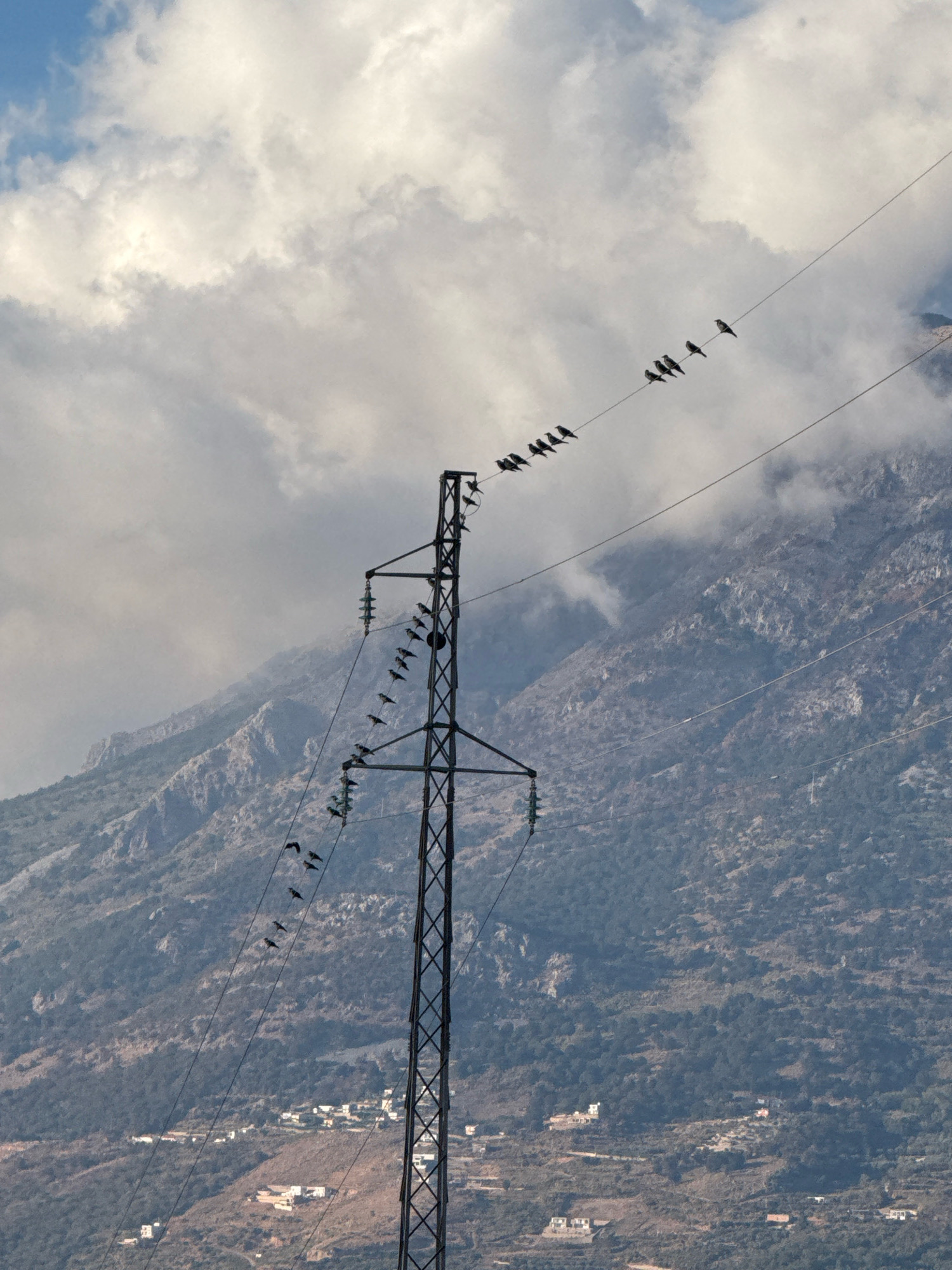 The image shows a power line tower in Kunje, Montenegro, with a flock of birds perched on the wires. The tower is tall and made of metal lattice. The wires are strung across the frame, with several birds in a line on each wire. The background consists of a mountainous landscape with some vegetation and scattered houses. The sky is partly cloudy with a mix of white and gray clouds. The overall scene is one of nature and infrastructure coexisting.