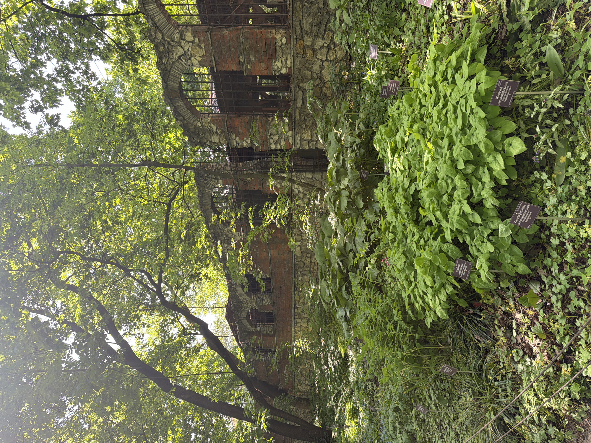 The image shows a two-story building constructed of brick and stone, surrounded by dense greenery. The building has arched windows with metal bars. Vegetation partially obscures the structure. Small signs with text are visible among the plants. The location is in the city of Moscow, Russia.