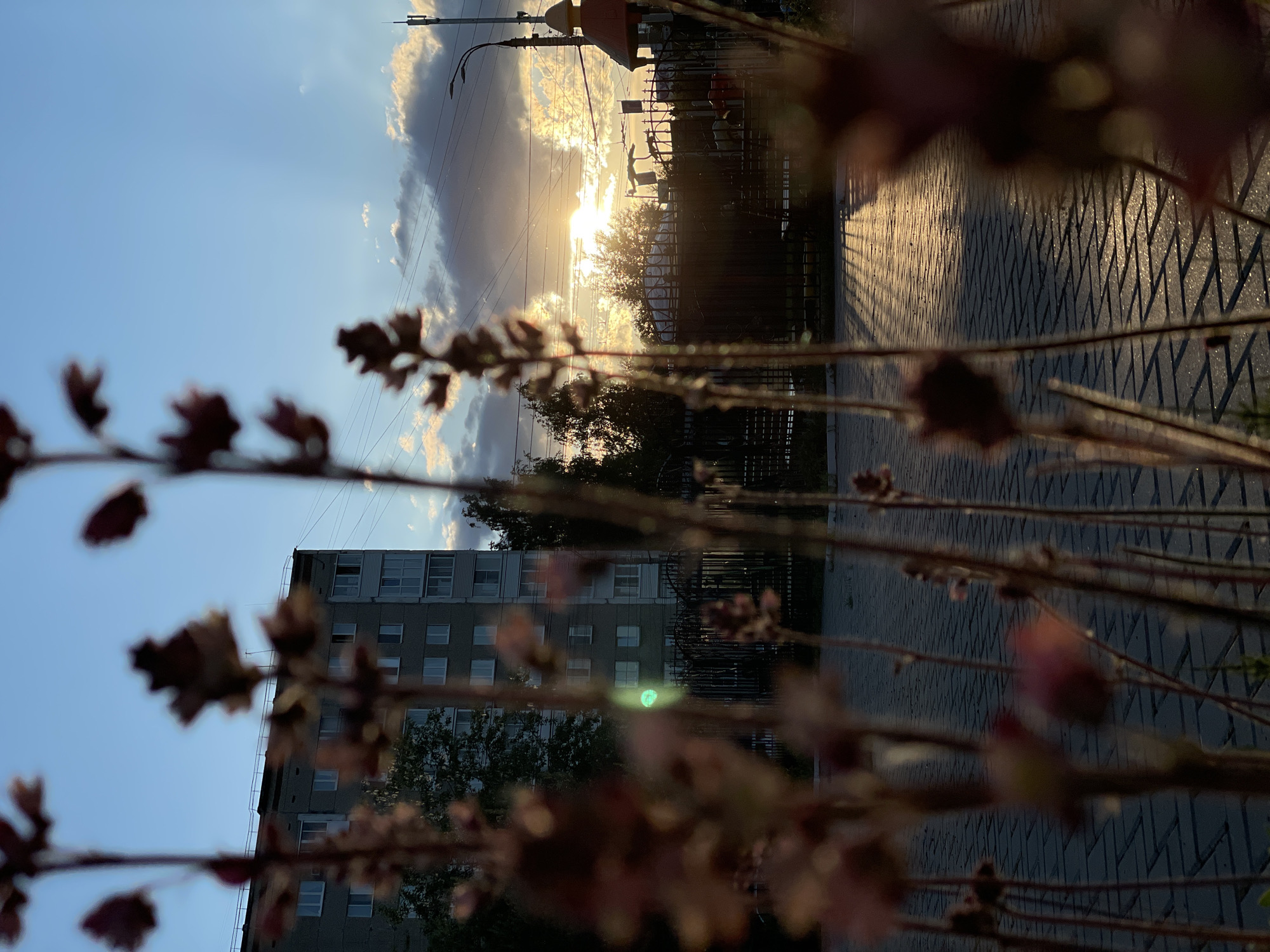 The original image, taken in Izhevsk, Russia, is presented in a vertical orientation, although it captures a horizontal landscape scene rotated 90 degrees clockwise. The photograph depicts an urban or suburban environment during either sunrise or sunset, characterized by warm, golden light and prominent shadows.
In the blurred foreground, out-of-focus branches with small, reddish-brown leaves or buds frame the composition. These branches extend diagonally across the frame, partially obscuring the main subject matter.
The midground and background feature a bright, low-lying sun, partially veiled by scattered clouds in a clear blue sky. The sun's intense rays create a starburst effect and lens flare. Several utility poles and power lines are visible against the sky. On the left side of the scene (which would be the bottom if correctly oriented), a multi-story apartment building with numerous windows stands, partially visible.
A dark, decorative metal fence runs across the midground, separating the foreground from a paved path or sidewalk. This path displays a distinct geometric pattern, likely formed by interlocking pavers, and is brightly illuminated by the low sun, resulting in long, stark shadows cast by the fence and other elements. Behind the fence, trees and bushes are silhouetted against the bright sky and sun. Another structure with a rounded, decorative top is also visible further in the midground, near the sun's position.
No human activity is depicted, nor is any visible text present. The scene evokes a sense of tranquility, highlighting the natural beauty of the sun's golden hour amidst an urban setting.