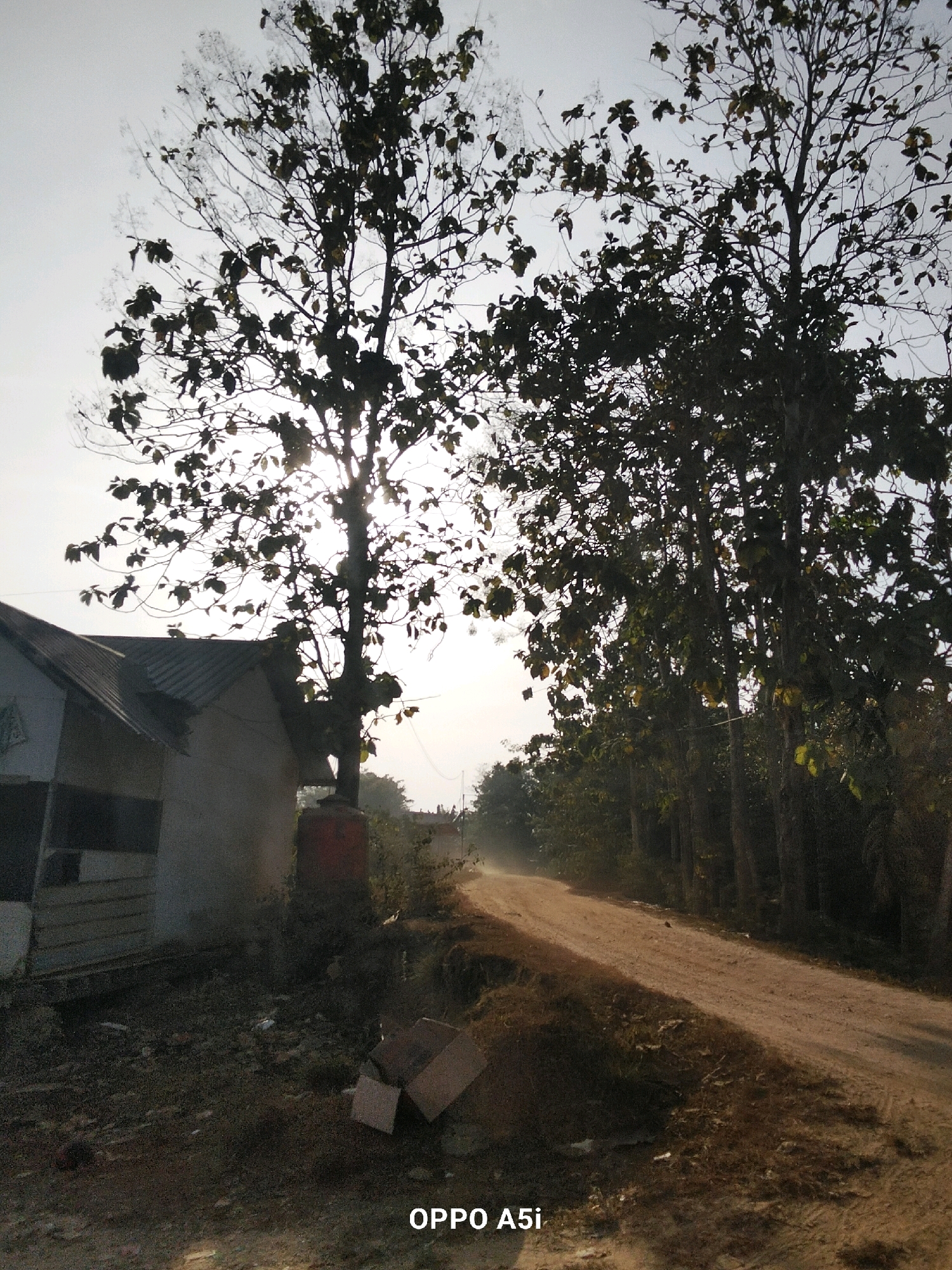 An exterior, ground-level, medium shot captures a dirt road curving through a rural landscape at the city of Tabanggele, Indonesia. The sun, partially obscured by the leaves of a large tree in the foreground, casts a warm glow across the scene. To the left, a small, light-colored building with a corrugated metal roof is visible, its side facing the road. The building appears weathered and has a single window with horizontal slats. In front of the building, a red water tank sits on a pedestal. The ground is littered with debris, including scattered leaves, twigs, and two cardboard boxes. The dirt road is flanked by vegetation, with a dense line of trees on the right side of the image, their dark silhouettes contrasting with the brighter sky. The sky itself is a pale, hazy white, suggesting either early morning or late afternoon light. The overall atmosphere is peaceful and somewhat rustic.