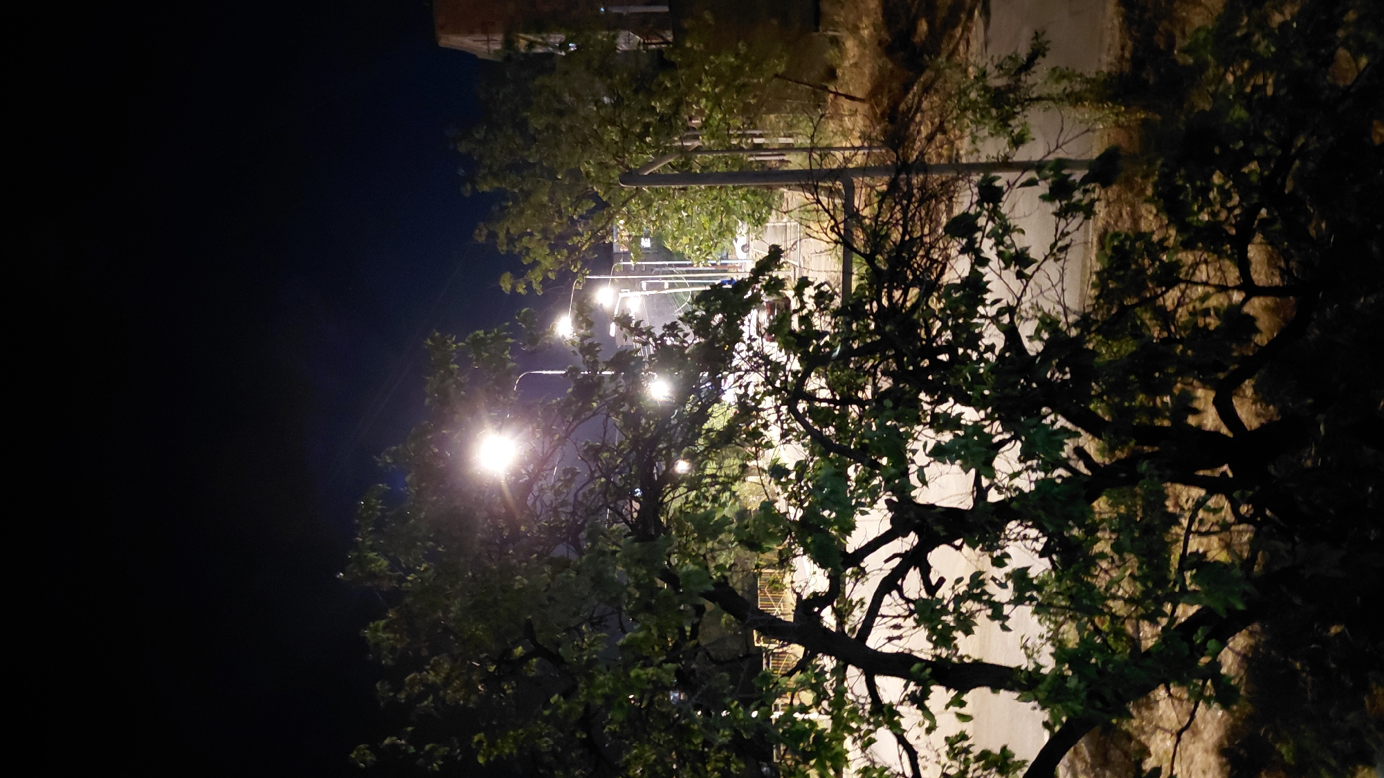 The image shows a night scene on a street in Abovyan, Armenia. The foreground is dominated by the dark silhouette of a tree with green leaves, its branches partially obscuring the view. Behind the tree, a street is visible, illuminated by several streetlights. The street appears to be asphalted. A few vehicles, including what looks like a white car and possibly a red car, are parked or moving along the street. In the background, there is a building with brickwork. The sky is dark, indicating nighttime. The overall impression is of a quiet urban street illuminated by artificial lighting.
