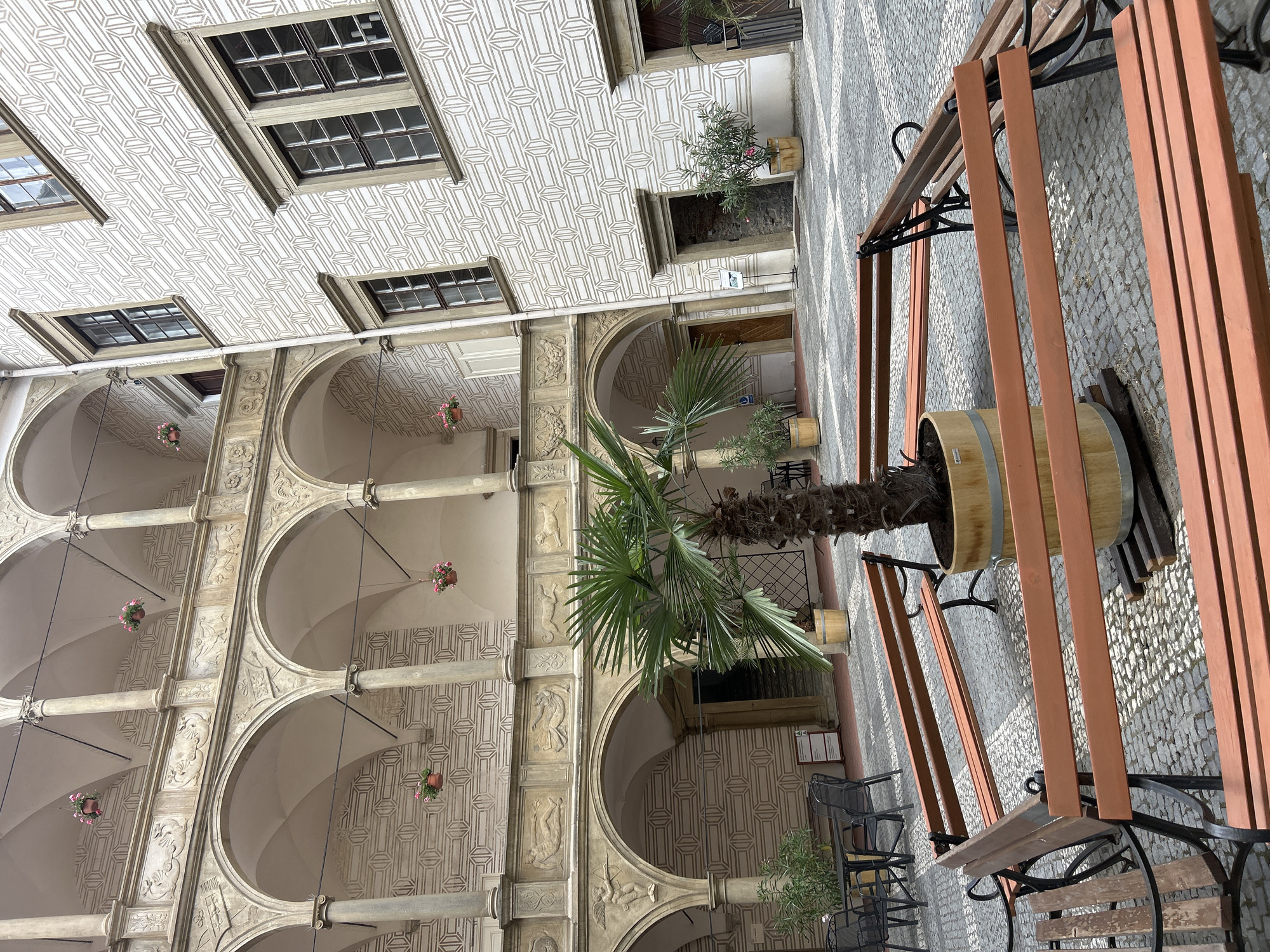 The image shows an ornate courtyard, likely in Rosice, Czechia, given the context. The architecture features arched walkways with intricate decorative carvings along the columns and between the arches. The ceiling of the walkways is adorned with a geometric patterned design. Several windows with multiple panes are visible along the upper levels of the buildings surrounding the courtyard.
Hanging baskets with pink flowers add a touch of color to the arched sections. In the foreground, a large potted palm tree stands prominently, its fronds reaching upwards. To the right, a wooden bench with a red frame and a wooden barrel planter are situated on a cobblestone ground. The overall scene suggests a tranquil outdoor space, possibly a cafe or a public area within a historic building. The lighting appears to be natural daylight, with no indication of specific time of day or weather conditions. No people are visible in the image. A small sign with some text is mounted on the wall near the potted palm and bench, but the text is not legible.