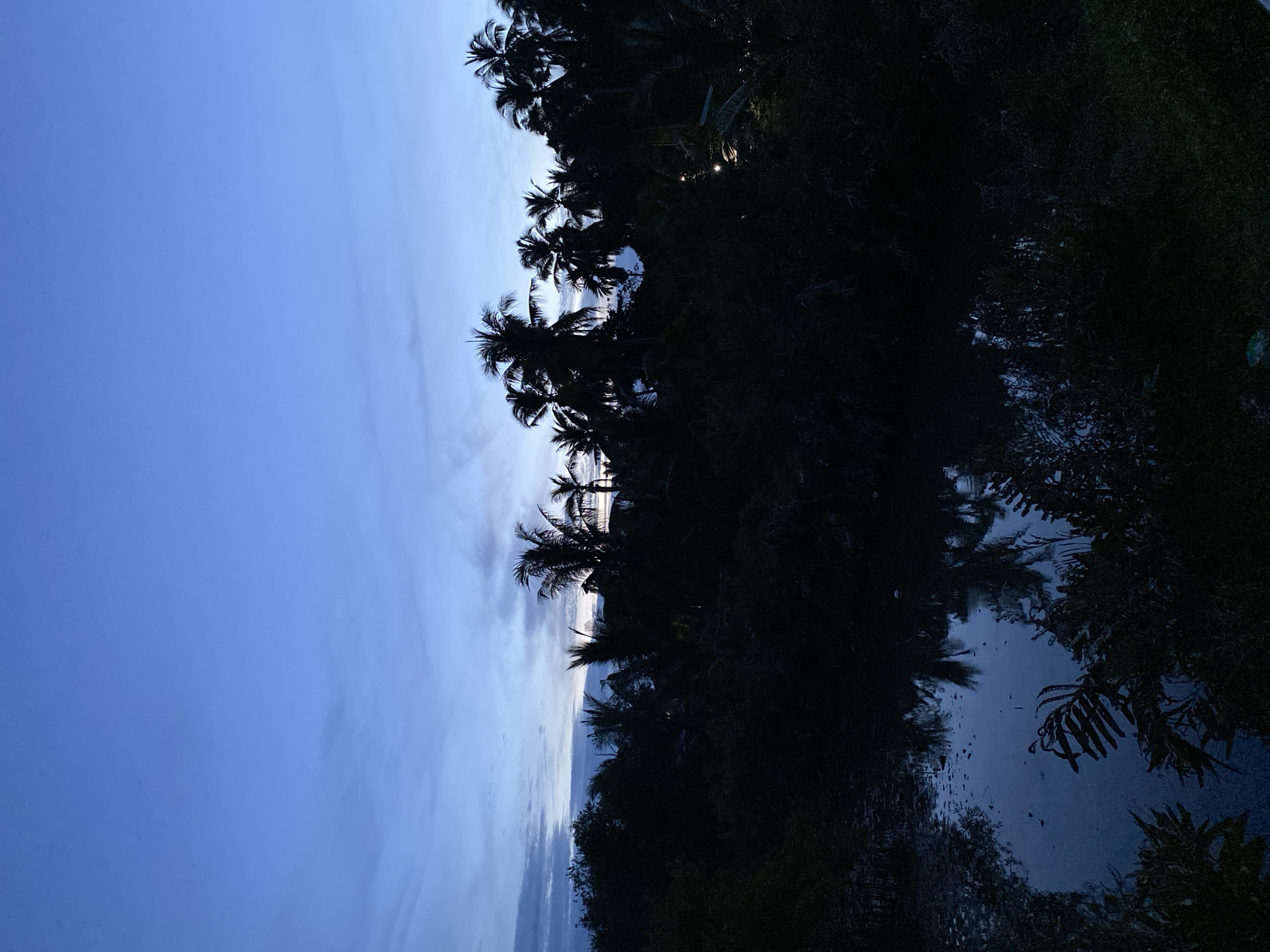 The image, apparently taken in Keudeublang, Indonesia, features a dark scene with silhouetted trees, including what appear to be palm trees, against a dusky blue sky. The sky is streaked with clouds near the horizon. There's a dark, reflective surface, possibly water, at the bottom of the frame, mirroring the trees. The overall scene suggests twilight or a dark evening, with limited detail visible in the foliage and surrounding areas.