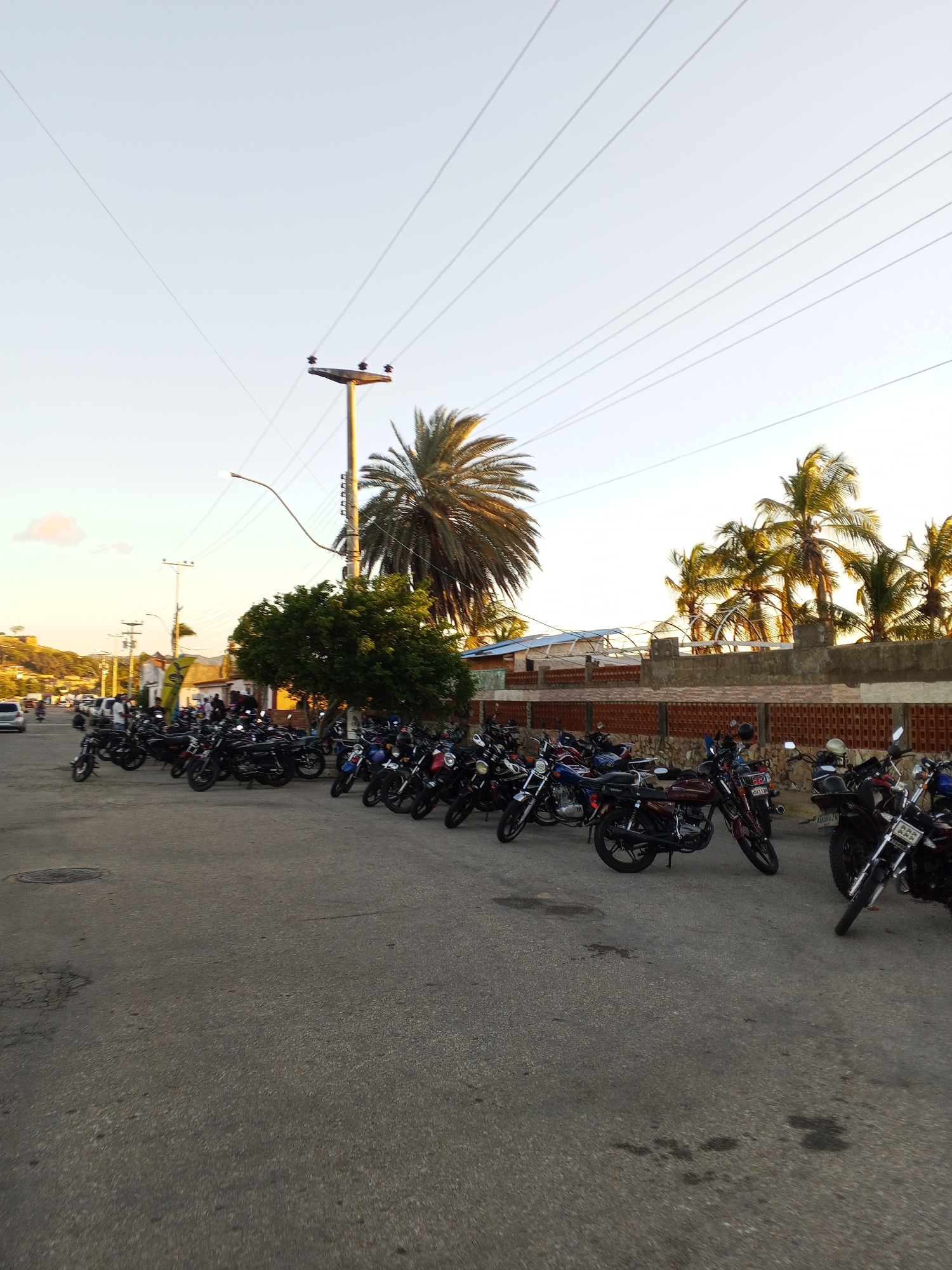 The image depicts a street in Juan Griego, Venezuela. Numerous motorcycles are parked along the side of the road. A palm tree and other smaller trees are present. In the background, there is a building with a brown brick wall. Power lines run across the sky. Several vehicles and people are seen in the distance, indicating street activity. The ground is paved.