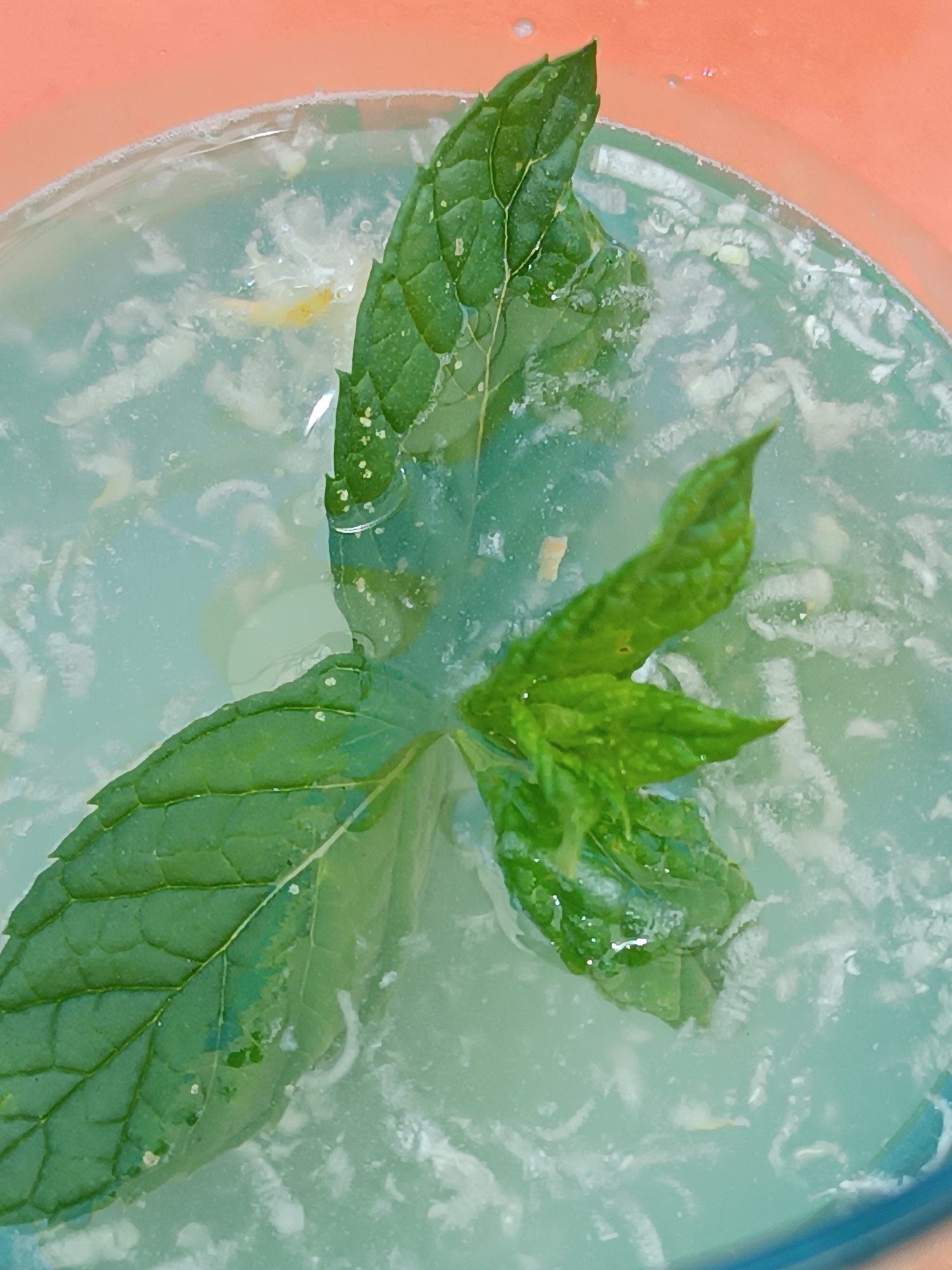 The image is a close-up overhead shot of a light blue liquid, possibly a beverage, with mint leaves floating on the surface. The liquid appears to contain small, white, shredded ingredients, perhaps coconut or ice. The mint leaves are a vibrant green and are positioned in the center of the frame, with one large leaf extending to the left and a cluster of smaller leaves to the right. The background outside the liquid is a solid, peachy-orange color, likely the rim of a container. There is no visible indication of the city of Viadana, Italy, or any other specific location. The image is static and does not depict any actions or interactions.