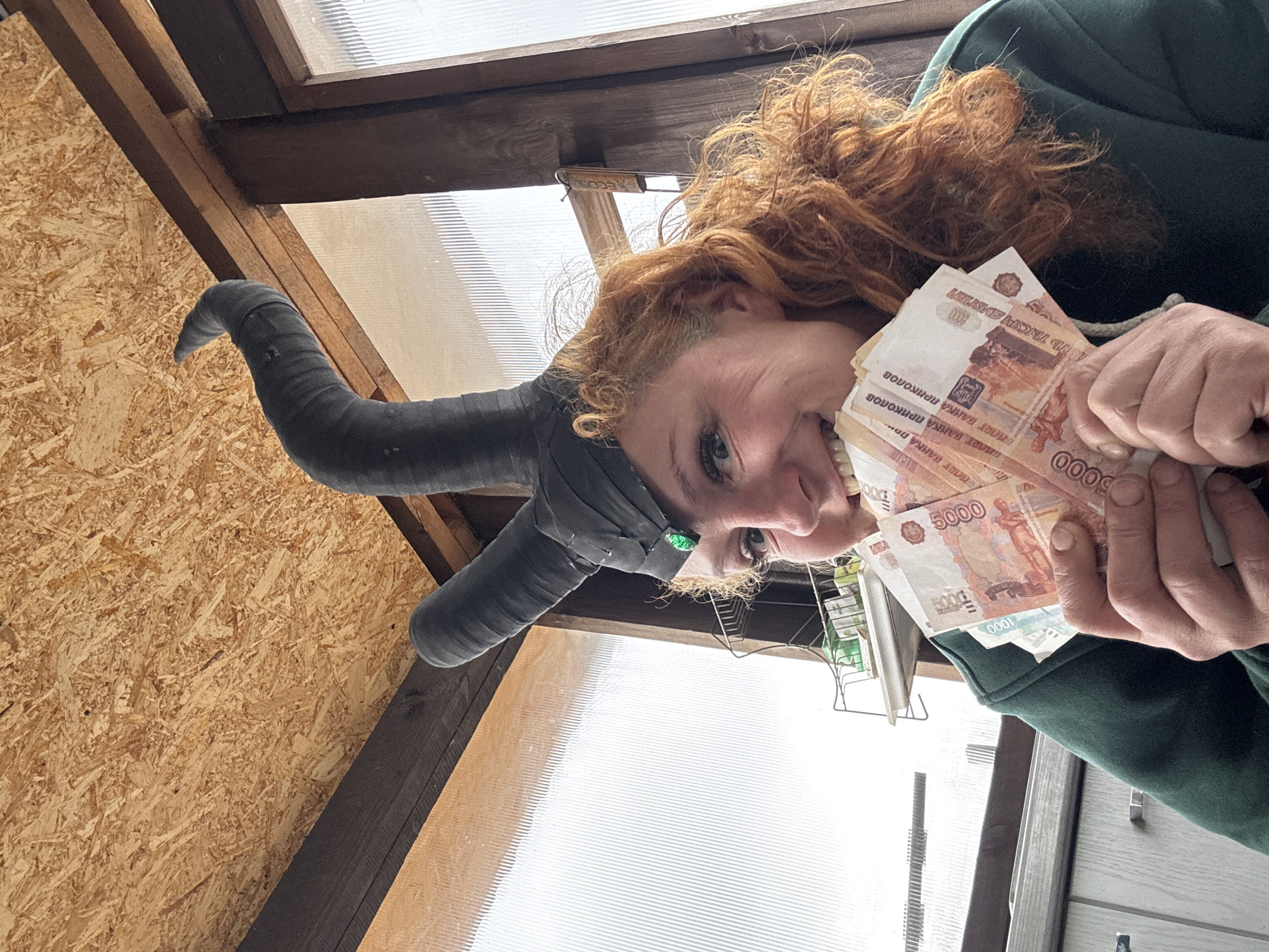 A person with long, curly reddish-brown hair is shown in a close-up, angled shot, appearing to look upwards and smile widely at the camera. The individual wears a dark green hoodie and a distinctive black horned headpiece, suggesting a costume or playful attire. Their face conveys joy or amusement.
In their hands, the person holds a fan of banknotes. Visible denominations include "5000" and "1000" rubles. However, the text "БИЛЕТ БАНКА ПРИКОЛОВ" (Banknote of Jokes Bank) and "ТЫСЯЧ РУБЛЕЙ" confirms these are novelty or fake banknotes, not real currency.
The setting appears to be an indoor space in Chaikovsky, Russia, with rustic finishes. The walls are made of oriented strand board (OSB), and dark wooden beams frame parts of the ceiling or upper structure. A translucent corrugated plastic or polycarbonate material serves as a window or roof, allowing natural light to illuminate the scene, indicating it is daytime. A small "ECO" tag is also visible in the background. The overall impression is one of lightheartedness and playful display.