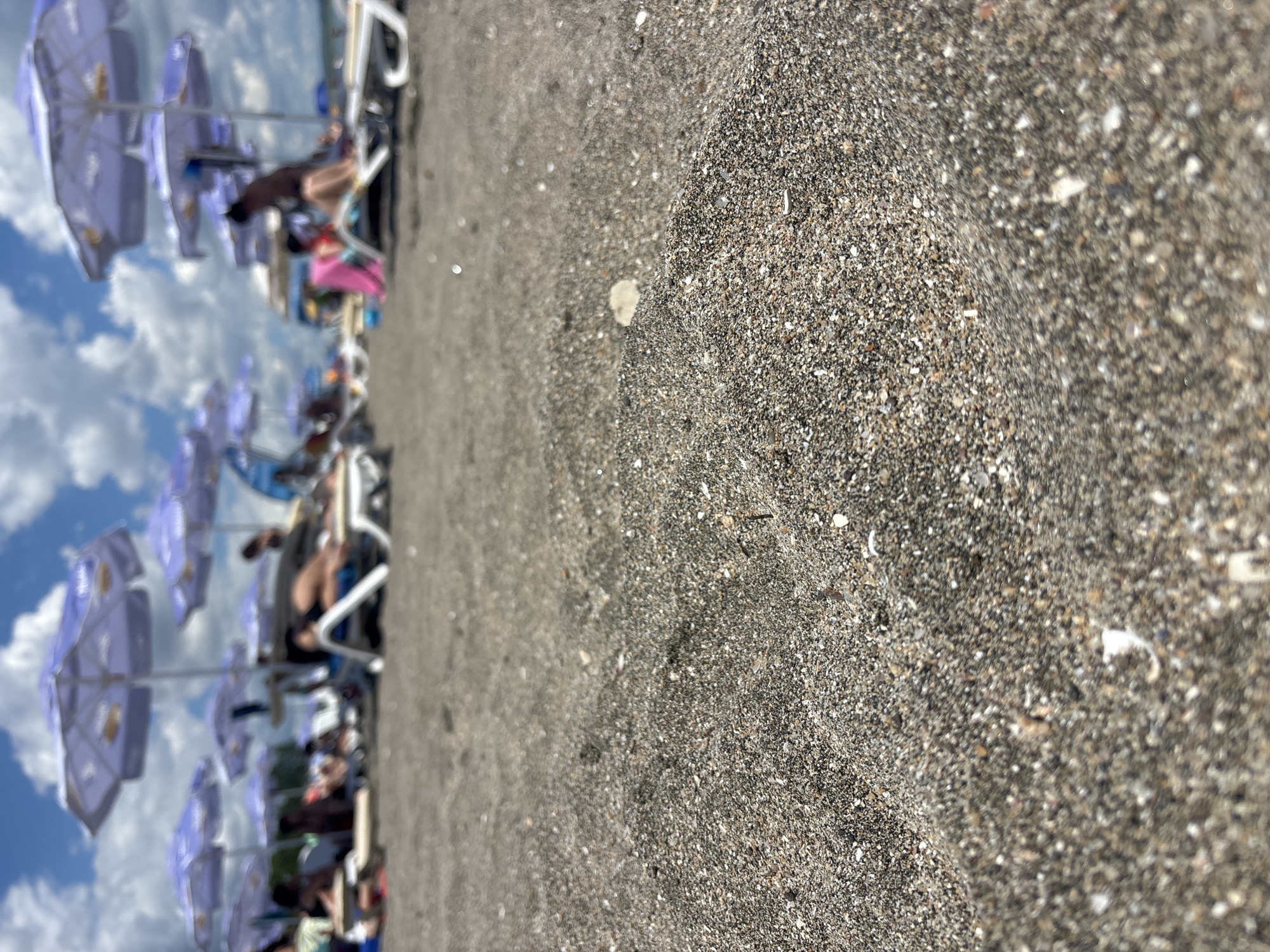 The image is a low-angle, ground-level view of a sandy beach. The foreground is dominated by the texture of dark sand with visible small pebbles and shells. In the background, a blurred scene of a beach is depicted with multiple purple beach umbrellas providing shade. Several lounge chairs are visible, some occupied by blurred figures of people. The sky is bright with white clouds against a blue backdrop. The overall impression is a crowded beach on a sunny day.