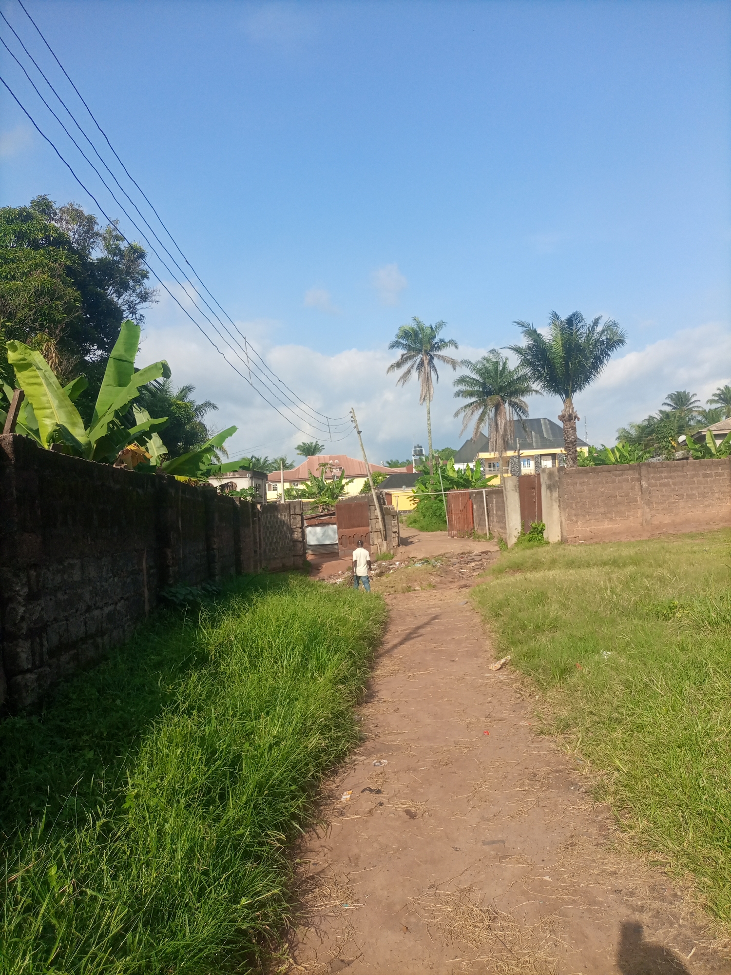 In Nkpor, Nigeria, a dirt path winds through a grassy area, leading towards a cluster of buildings. On the left, a dark stone wall is covered in lush green vegetation, including broad banana leaves. A thin line of power cables stretches across the bright blue sky, interrupted by scattered white clouds. To the right, a man in a white t-shirt and dark pants walks away from the camera down the path. Beyond him, a brown metal gate stands open, and behind it, several houses with yellow and brown facades are visible, surrounded by palm trees and more banana plants. The ground is a mix of dirt and dry grass, with some scattered debris.