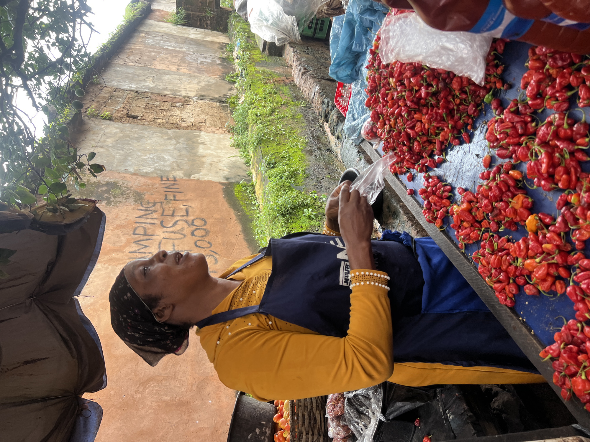In the city of Nkpor, Nigeria, a woman vendor stands behind a stall overflowing with bright red peppers. She wears a vibrant yellow long-sleeved shirt adorned with small white pearls and a dark blue apron. Her head is covered with a patterned black and white scarf. Her right hand holds a clear plastic bag, and her left hand is near a pile of peppers. The stall is covered by a dark canopy, providing shade. Behind the vendor, a rough, orange-hued wall displays faded graffiti. Lush green vegetation grows along the top of the wall and a low, moss-covered stone structure. Other items are visible on the stall, including a basket of tomatoes and bags of what appear to be other vegetables or goods. The scene suggests a bustling marketplace.