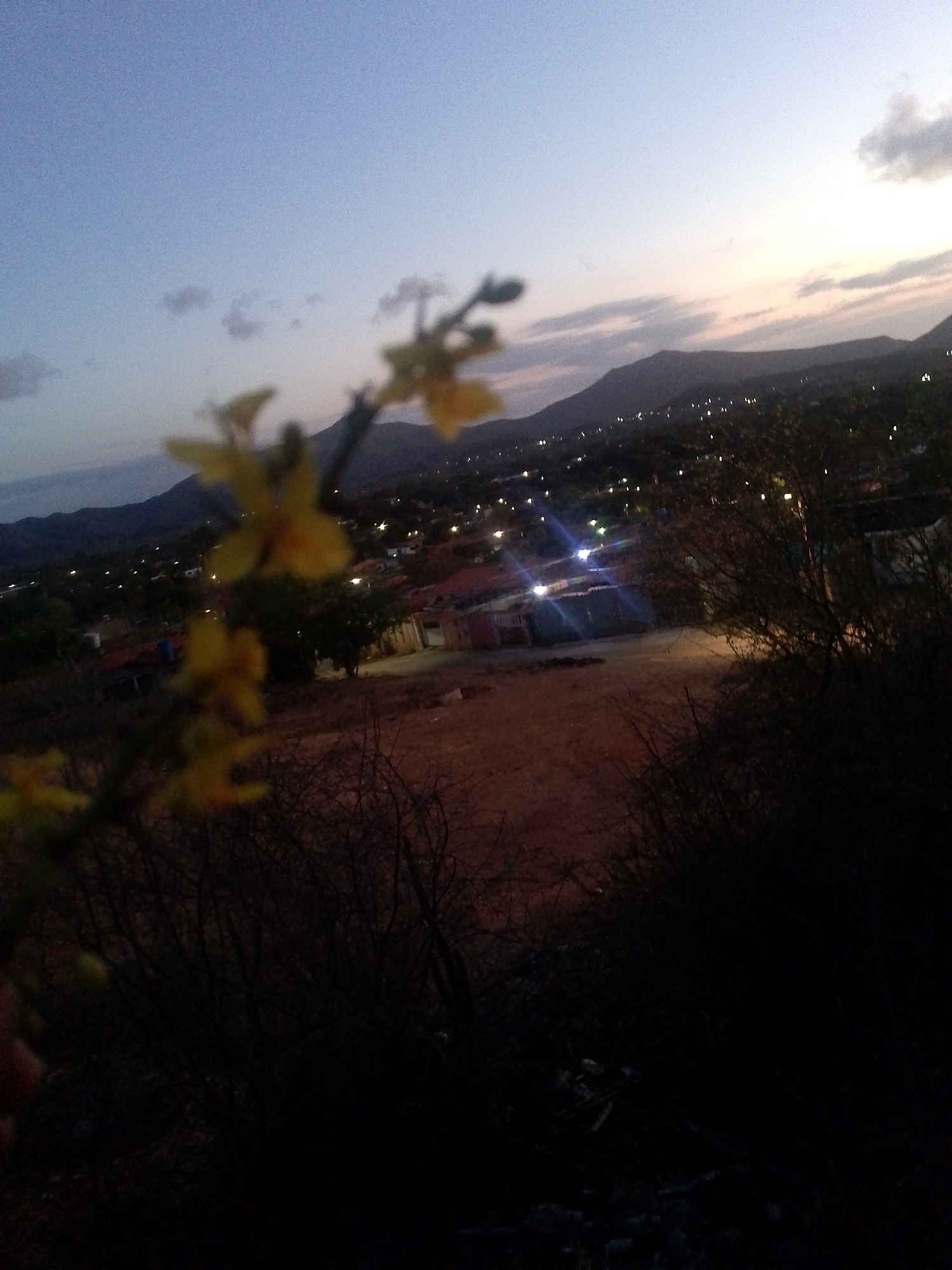 A wide shot of the city of Juan Griego, Venezuela at dusk. The foreground features a blurry yellow flower on a dark, tangled shrub. Beyond, a dirt clearing is partially illuminated by streetlights, and rooftops of houses are visible. In the background, a mountain range fades into the dusky sky.