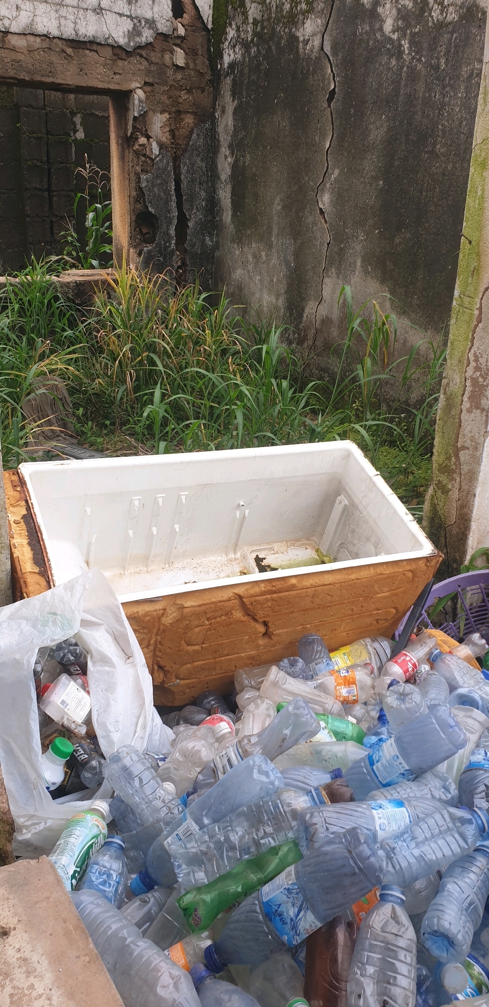 A pile of plastic bottles, some crushed and some intact, is overflowing from a white cooler in front of a cracked, weathered concrete wall. Green vegetation, including stalks of corn, grows behind the cooler. The scene is located outdoors, possibly in an urban or semi-urban setting like Sabon Tasha, Nigeria, characterized by the dilapidated structure and discarded waste.