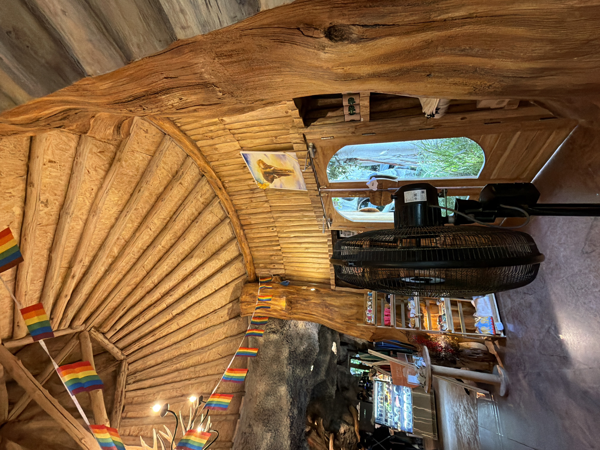 The image depicts the interior of a rustic establishment, likely a cafe or shop, characterized by its prominent use of natural wood in its construction. The ceiling features a dome-like structure with visible wooden beams and planks, creating a warm and organic ambiance. Rainbow-colored flag bunting is strung across the ceiling and along the walls, adding a vibrant touch. A large, decorative tree trunk serves as a central pillar, seamlessly integrated into the wooden architecture.
Various objects are visible within the space. In the foreground, a large black oscillating fan stands on a stand, pointing towards the right side of the frame. To the left, a display case filled with items, possibly food or merchandise, is partially visible. Nearby, a round wooden table with a vase containing dried flowers sits on the floor. A shelving unit with several tiers holds various items, including what appear to be folded fabrics and other retail products. Above the shelving unit, a painting of an elephant is mounted on the wooden wall.
The background reveals wooden doors and an arched opening that offers a glimpse of lush green vegetation outside, suggesting an outdoor or garden area. The flooring appears to be a polished, dark-colored material. The overall lighting is warm and inviting, with some areas illuminated by natural light filtering through the opening. No individuals are clearly visible in the image. The establishment appears to be decorated with a theme that blends natural elements with colorful accents, possibly catering to a diverse clientele.
