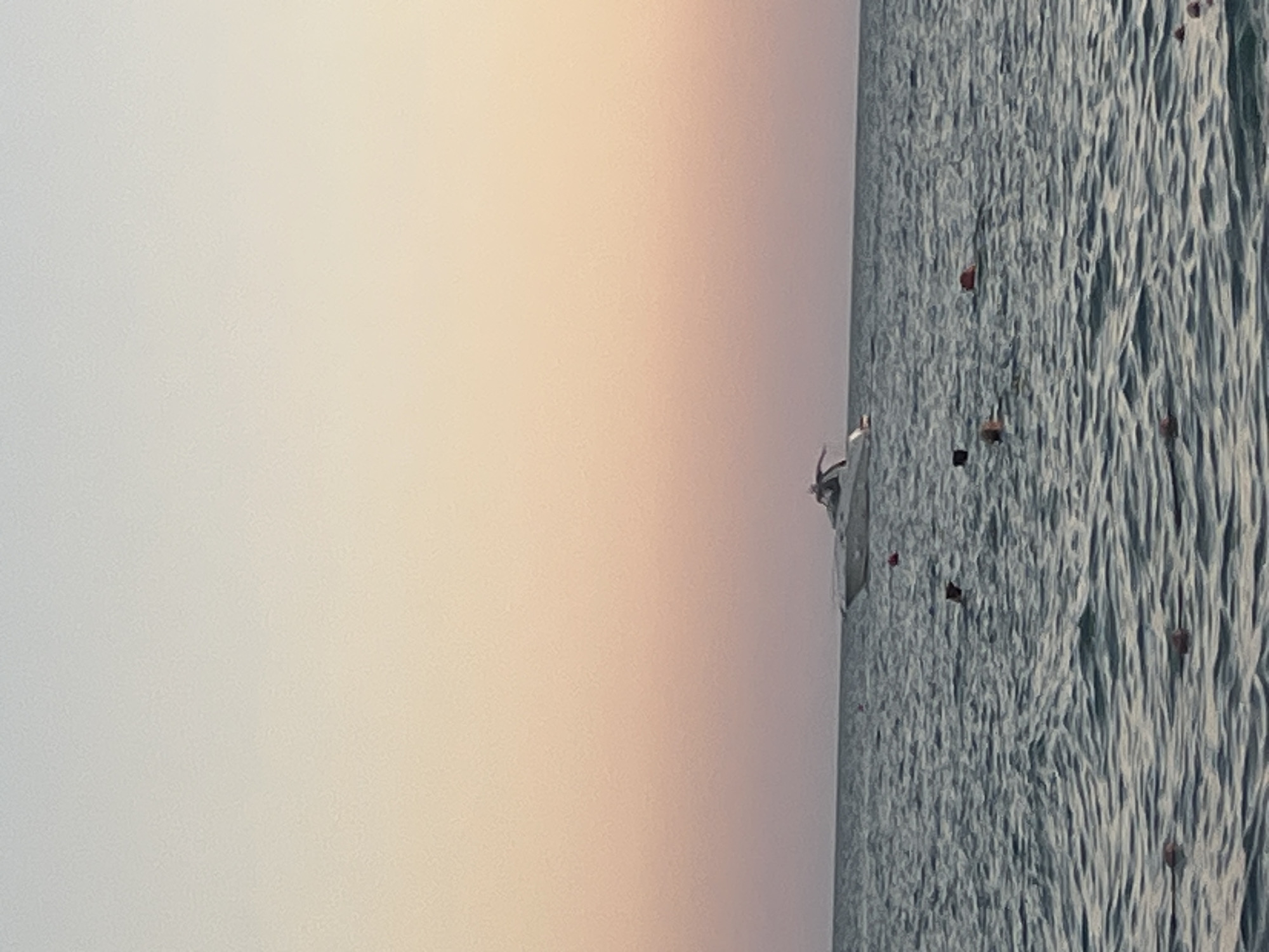 A motorboat cruises on a calm sea during sunset, with a soft gradient of orange and pink hues in the sky. Several buoys are visible in the water, with some people swimming around them. The scene appears to be a coastal area, potentially near Sochi, Russia, a popular resort city known for its beaches and waterfront activities.