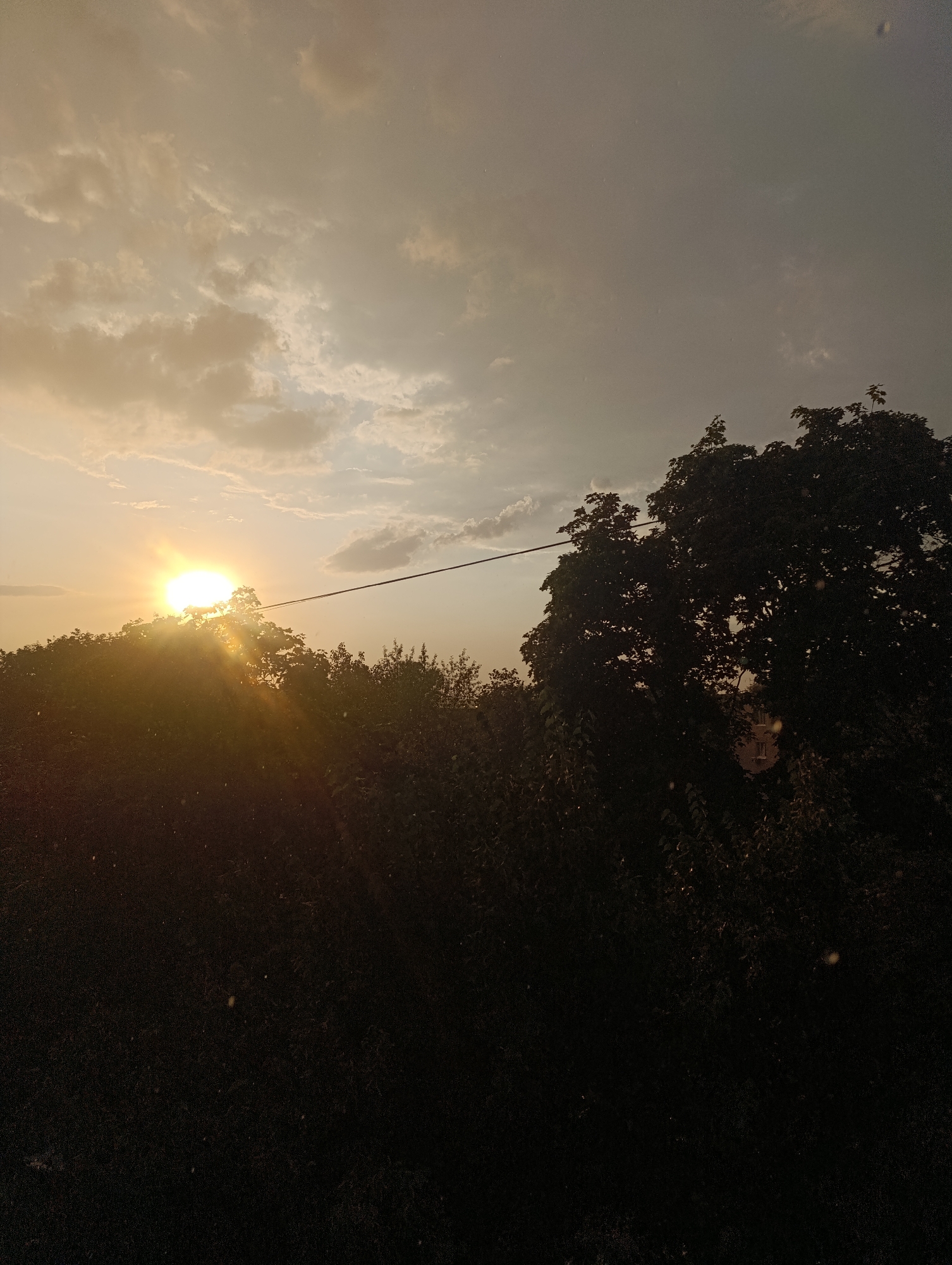 The image depicts a sunset scene in Zlatopil, Ukraine. The sun, a bright orb with visible rays, is low on the horizon, casting a golden light through the trees and clouds. The sky is a gradient of warm oranges, yellows, and grays, with scattered clouds. A power line runs horizontally across the middle of the frame, bisecting the sky and a silhouette of trees. On the right side of the image, a large, leafy tree dominates the foreground, its dark silhouette contrasting with the illuminated sky. In the background, behind the trees, a building with visible windows can be discerned. The foreground is filled with dark foliage, likely bushes or smaller trees, creating a sense of depth. The image appears to be taken from a slightly elevated perspective, looking across a natural or semi-natural landscape within the city.