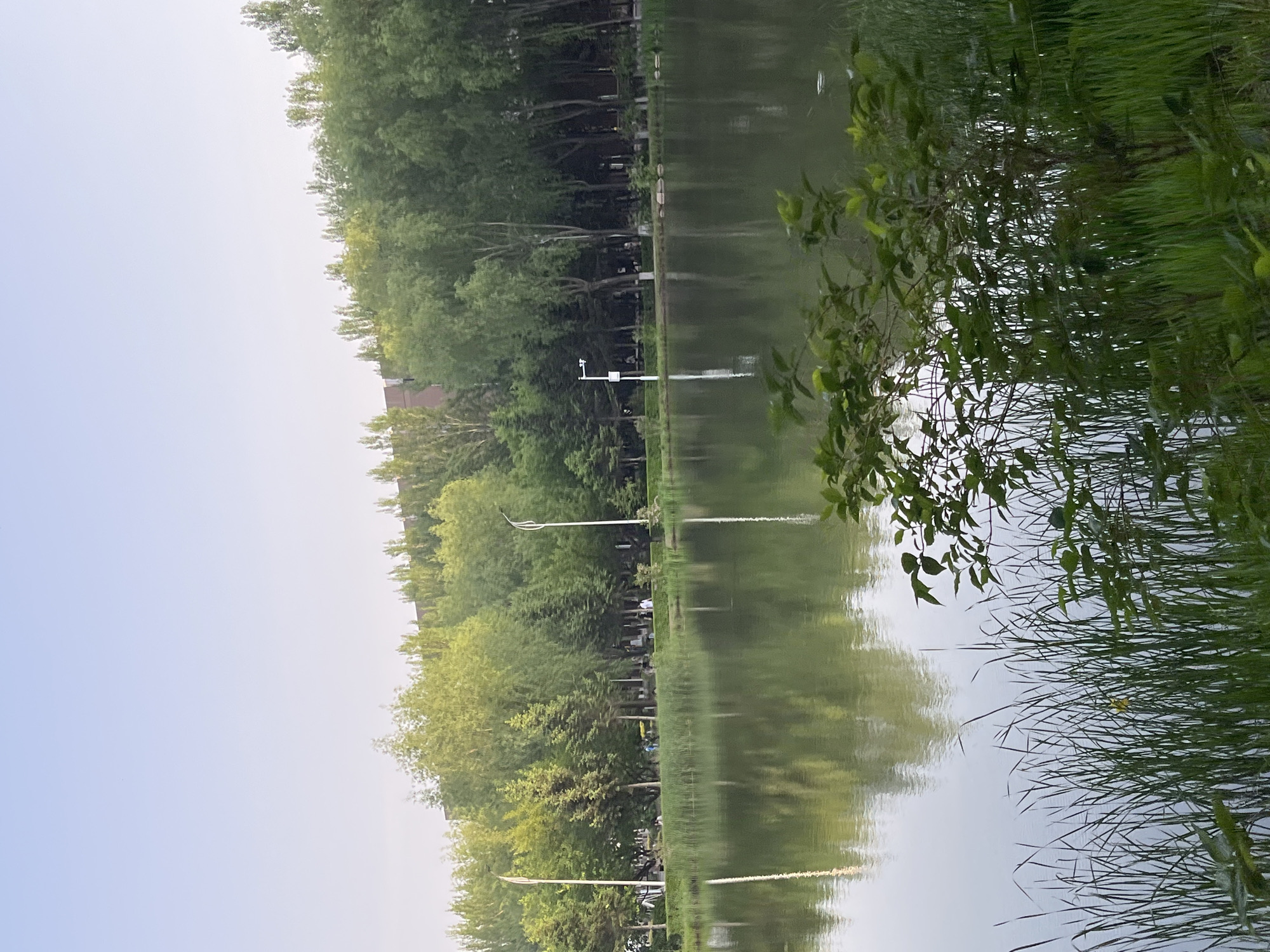 The image depicts a serene lakeside scene in Changchun City, China. Lush greenery dominates the landscape, with trees lining the water's edge and tall grasses in the foreground. The water reflects the surrounding trees and sky, creating a mirror-like effect. Structures like streetlights are visible along the lakeside.